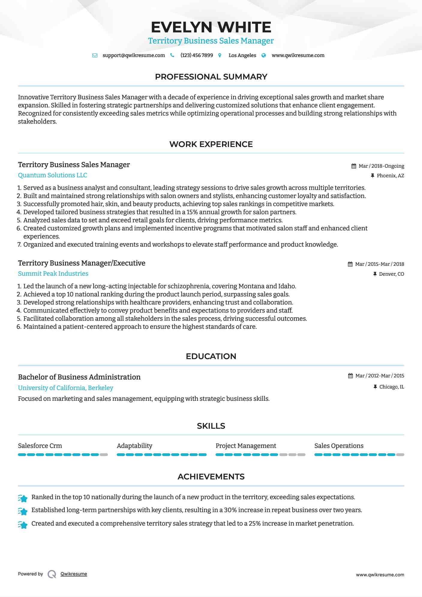 Territory Business Sales Manager Resume Format