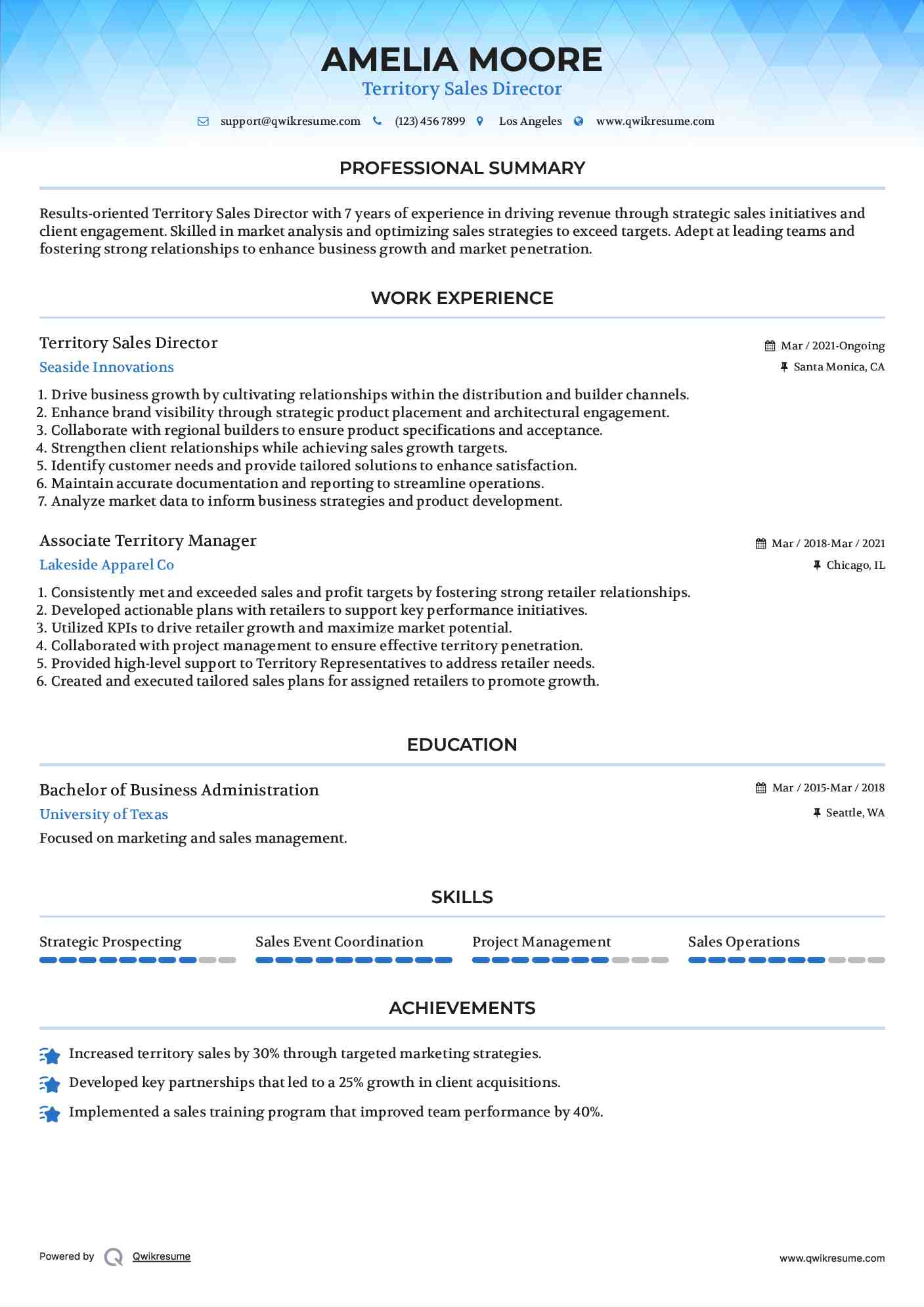 Territory Sales Director Resume Example