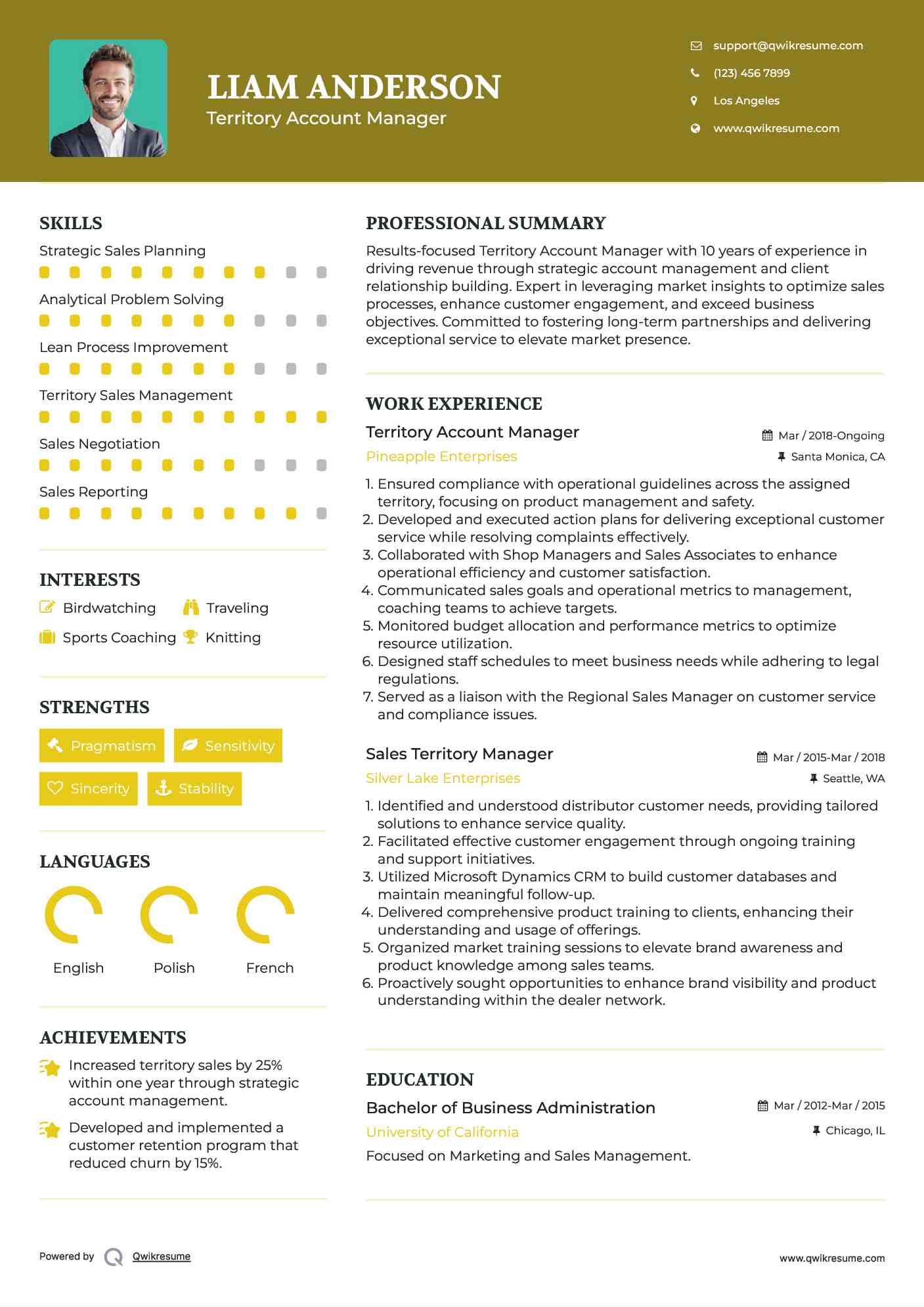 Territory Account Manager Resume Model