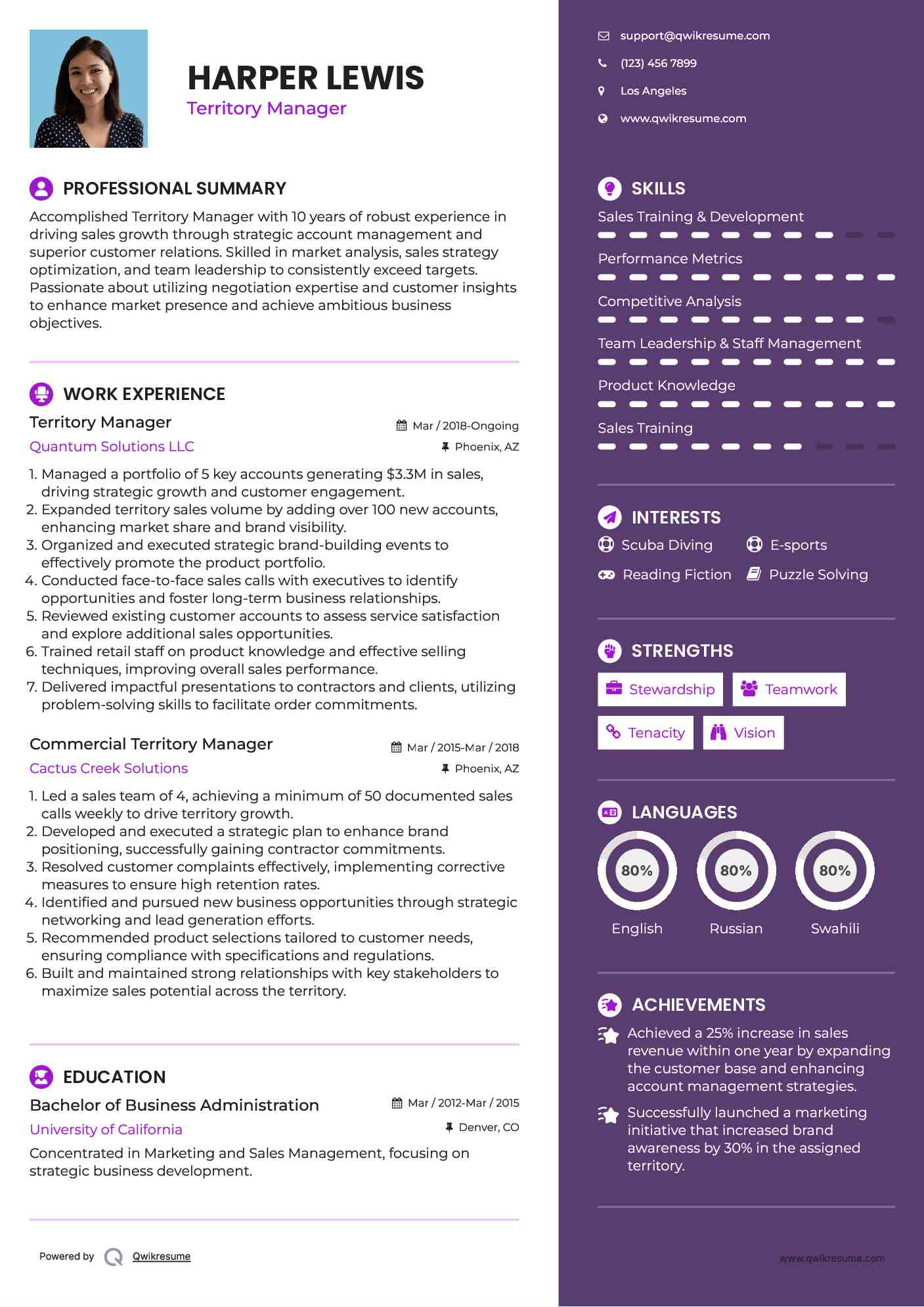 Territory Manager Resume Example