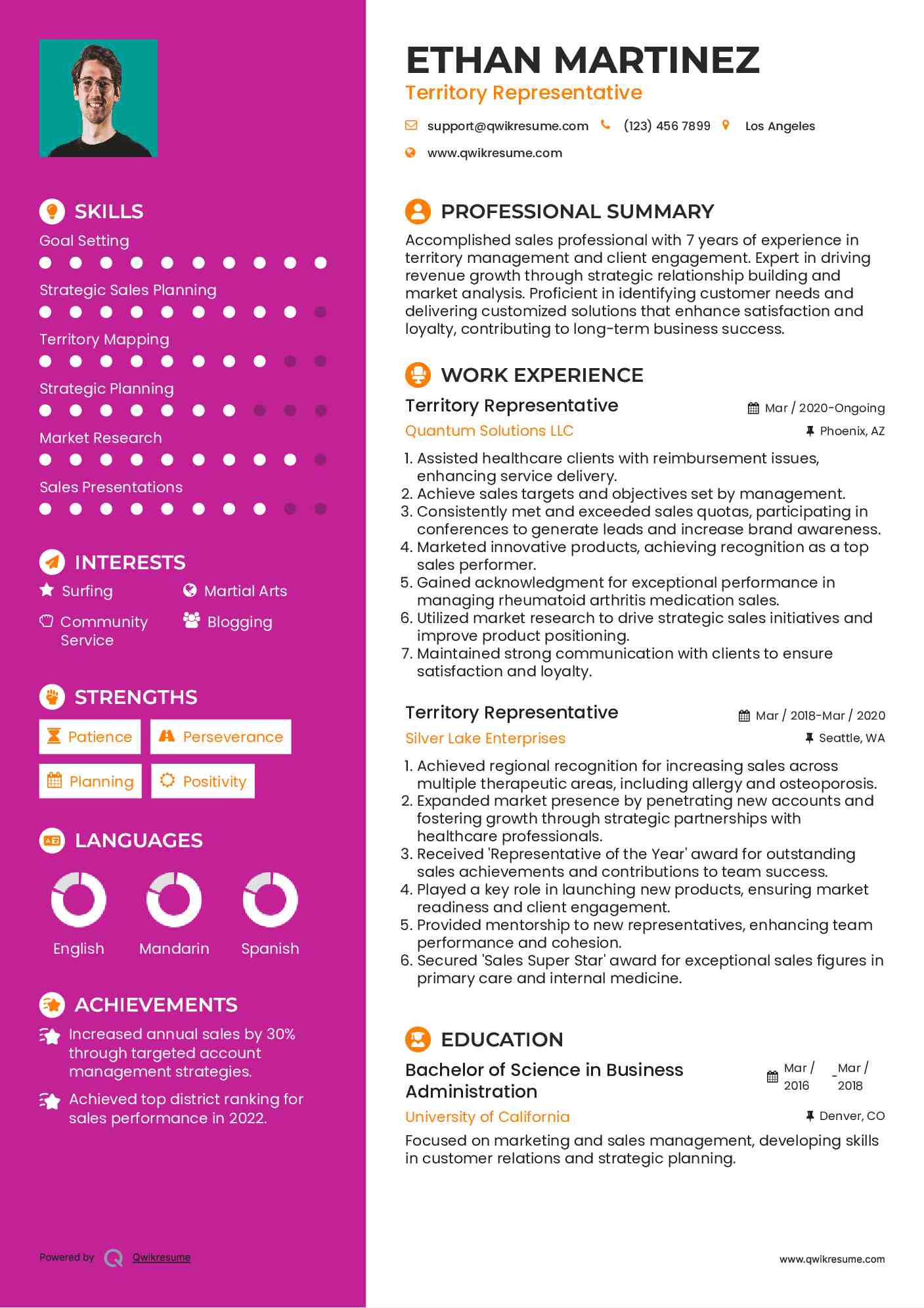 Territory Representative Resume Example
