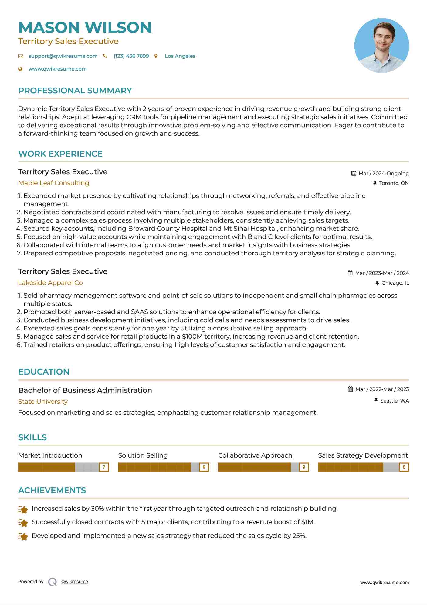 Territory Sales Executive Resume Format