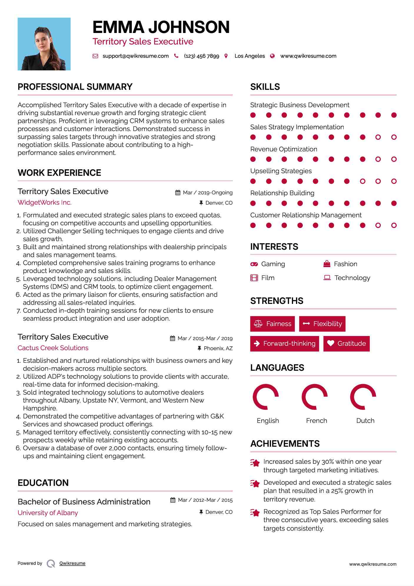 Territory Sales Executive Resume Sample