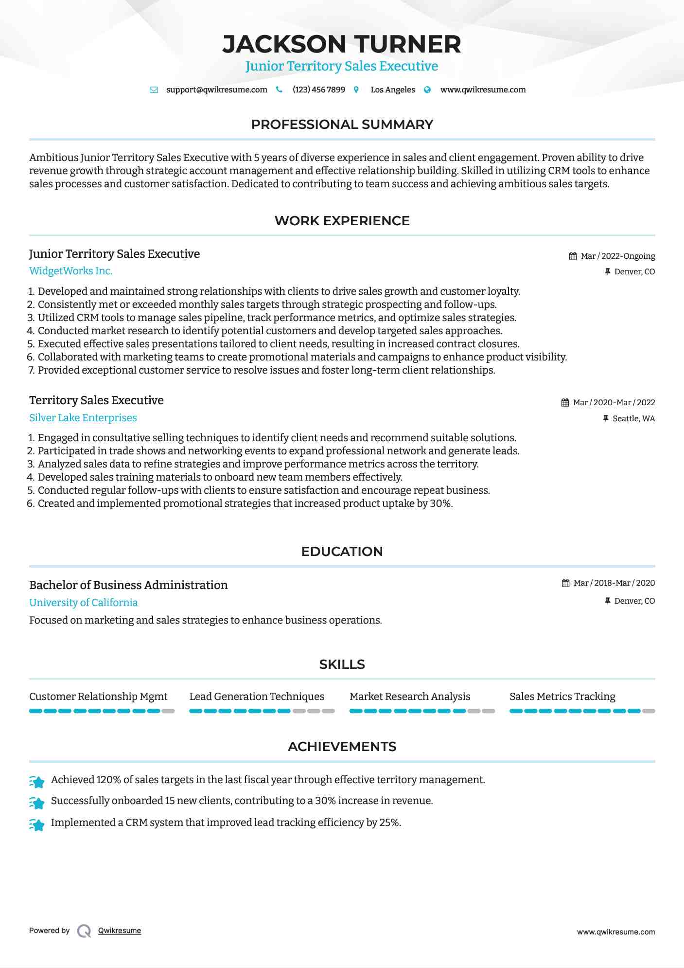 Junior Territory Sales Executive Resume Template