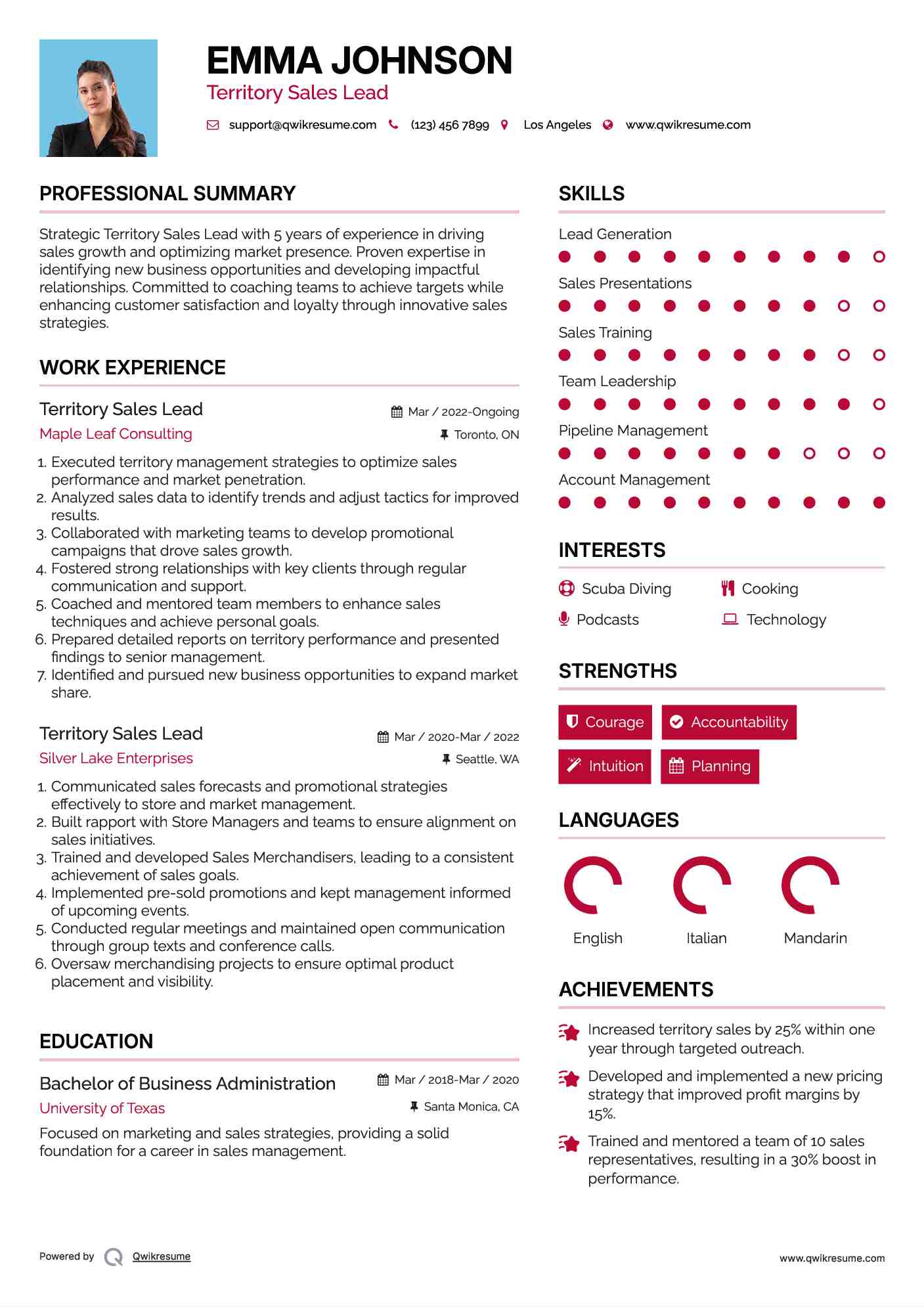 Territory Sales Lead Resume Format