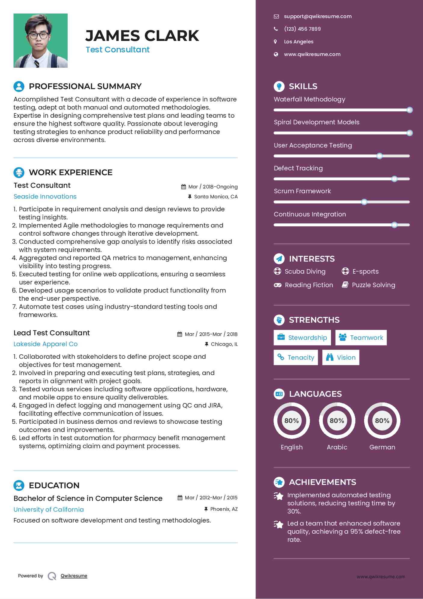 Test Consultant Resume Template