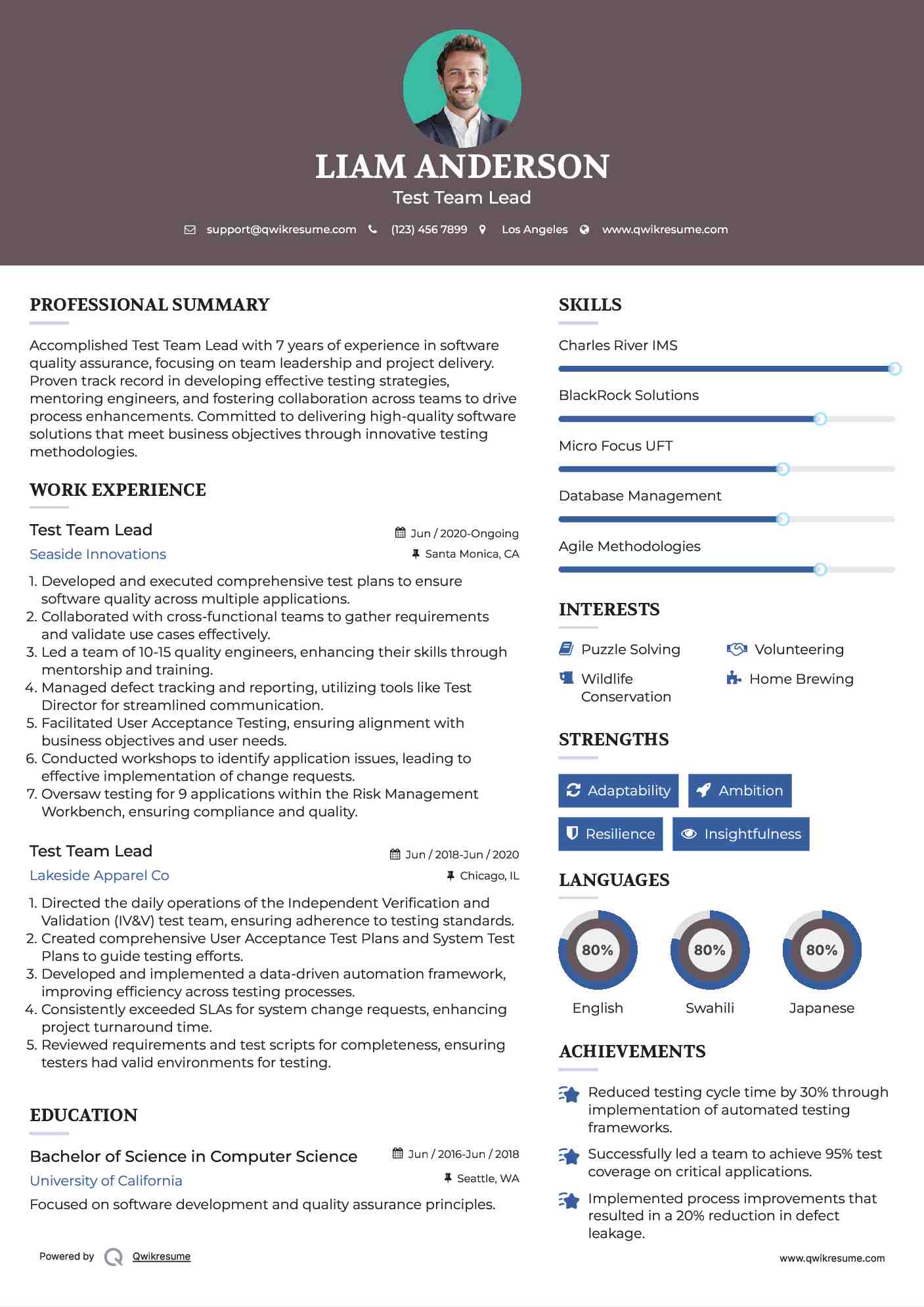 Test Team Lead Resume Template