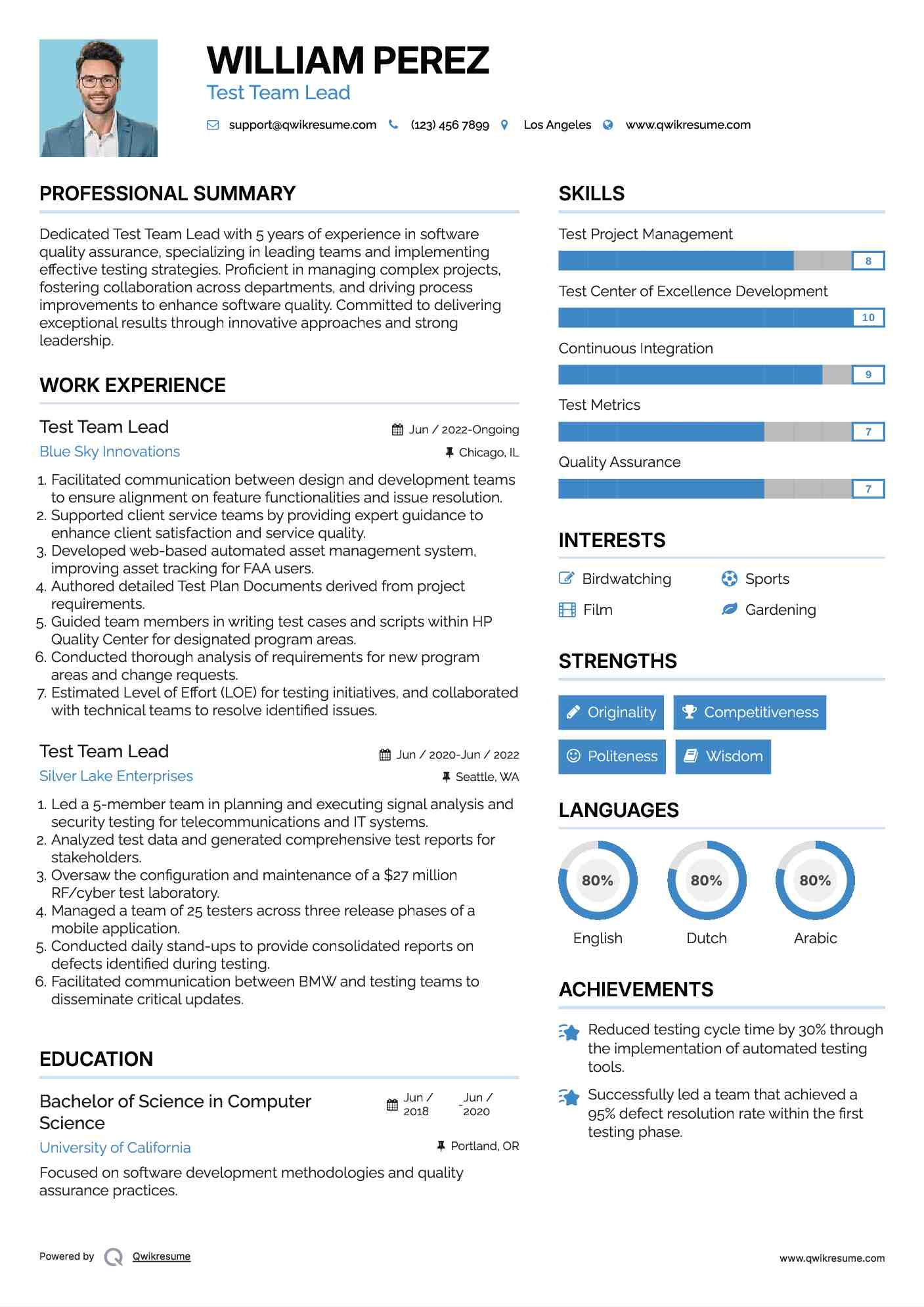 Test Team Lead Resume Example