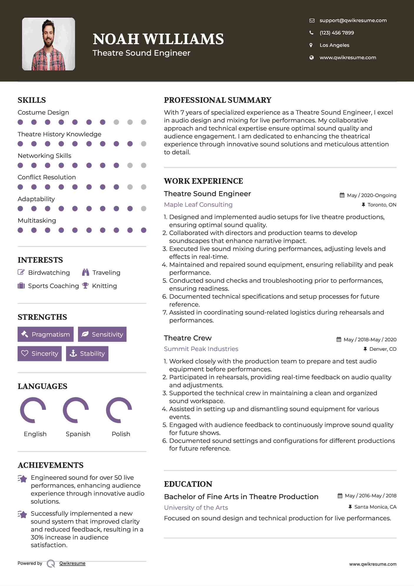 Theatre Sound Engineer Resume Example