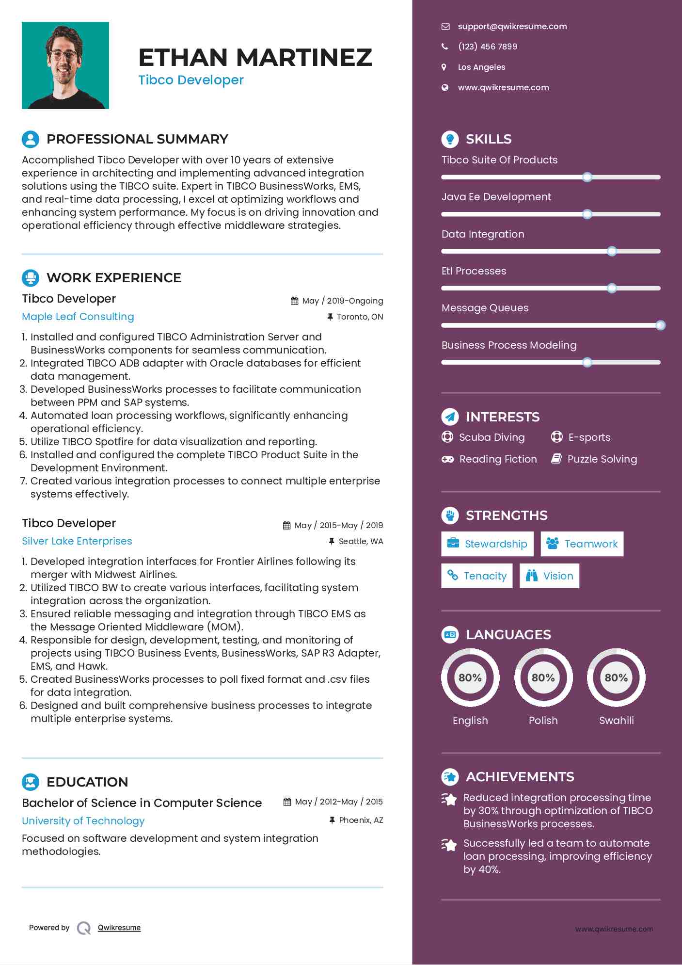 Tibco Developer Resume Template