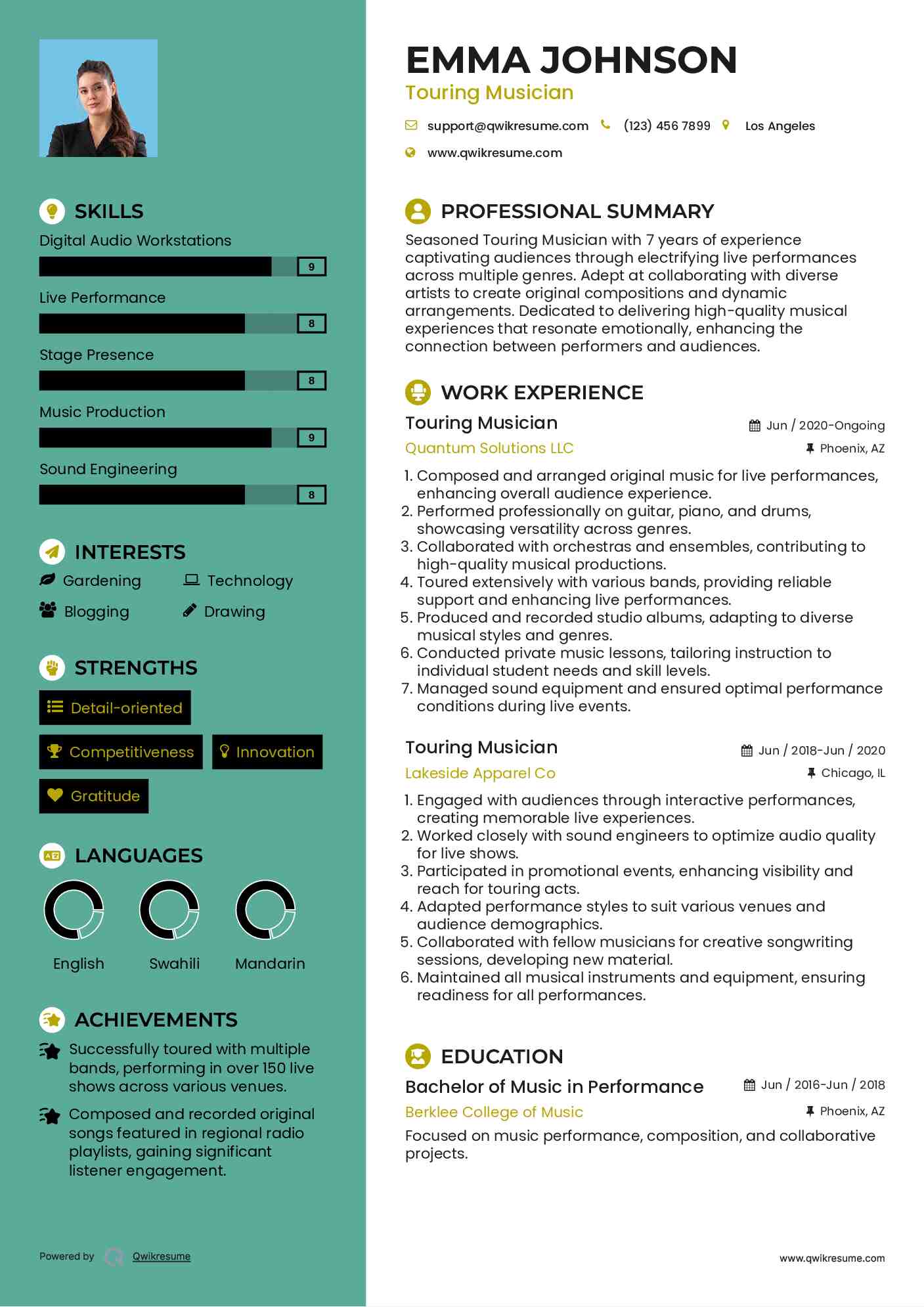 Touring Musician Resume Sample