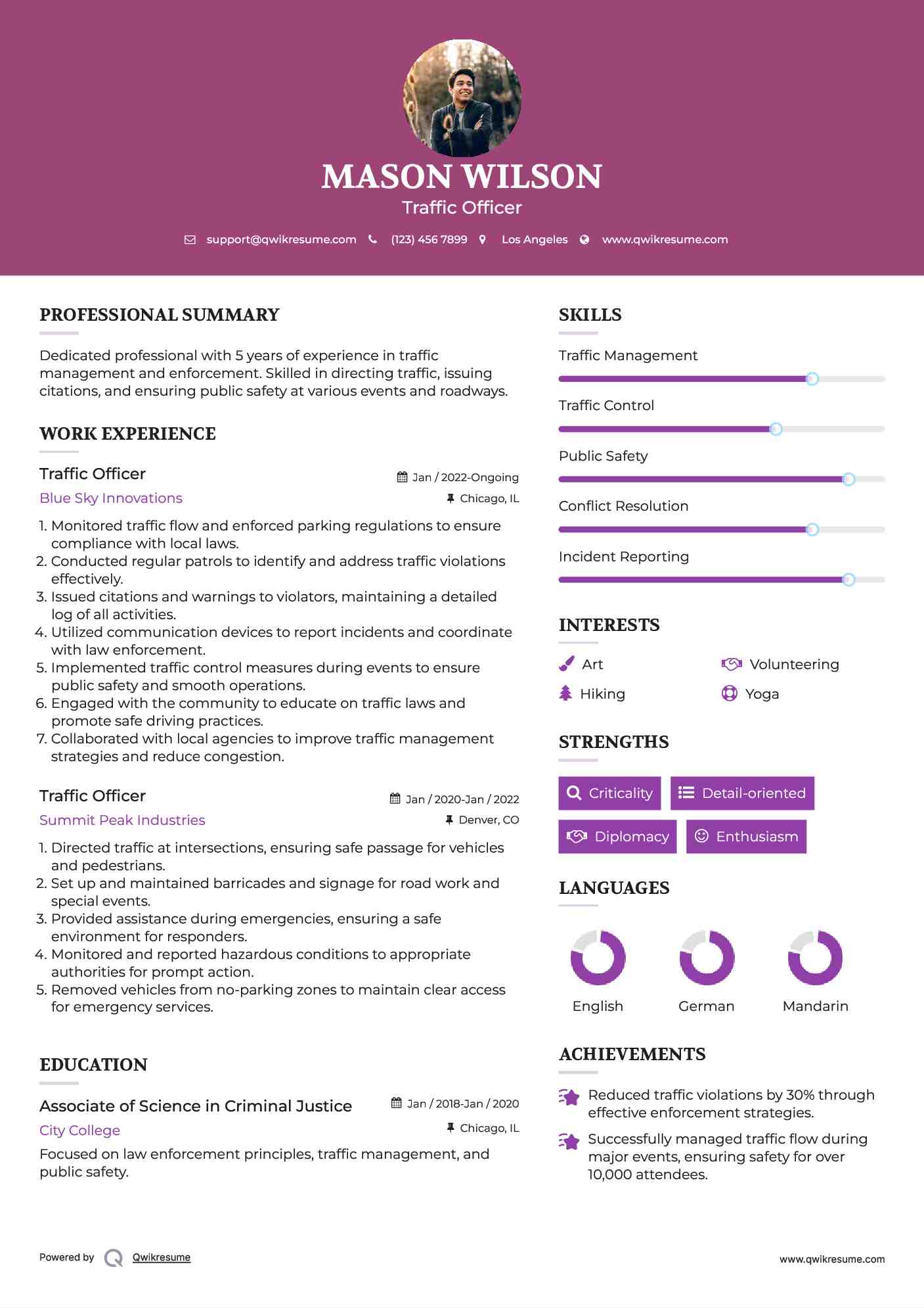 Traffic Officer Resume Model