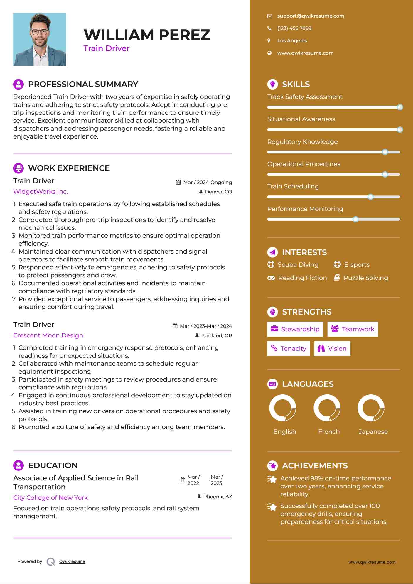 Train Driver Resume Example