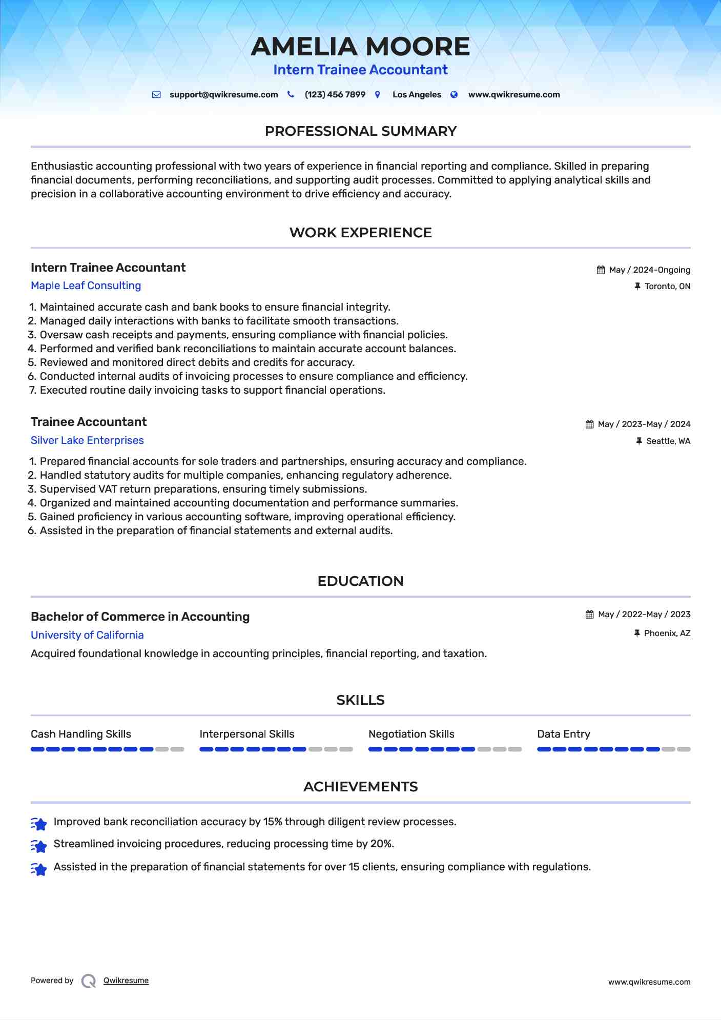 Intern Trainee Accountant Resume Template