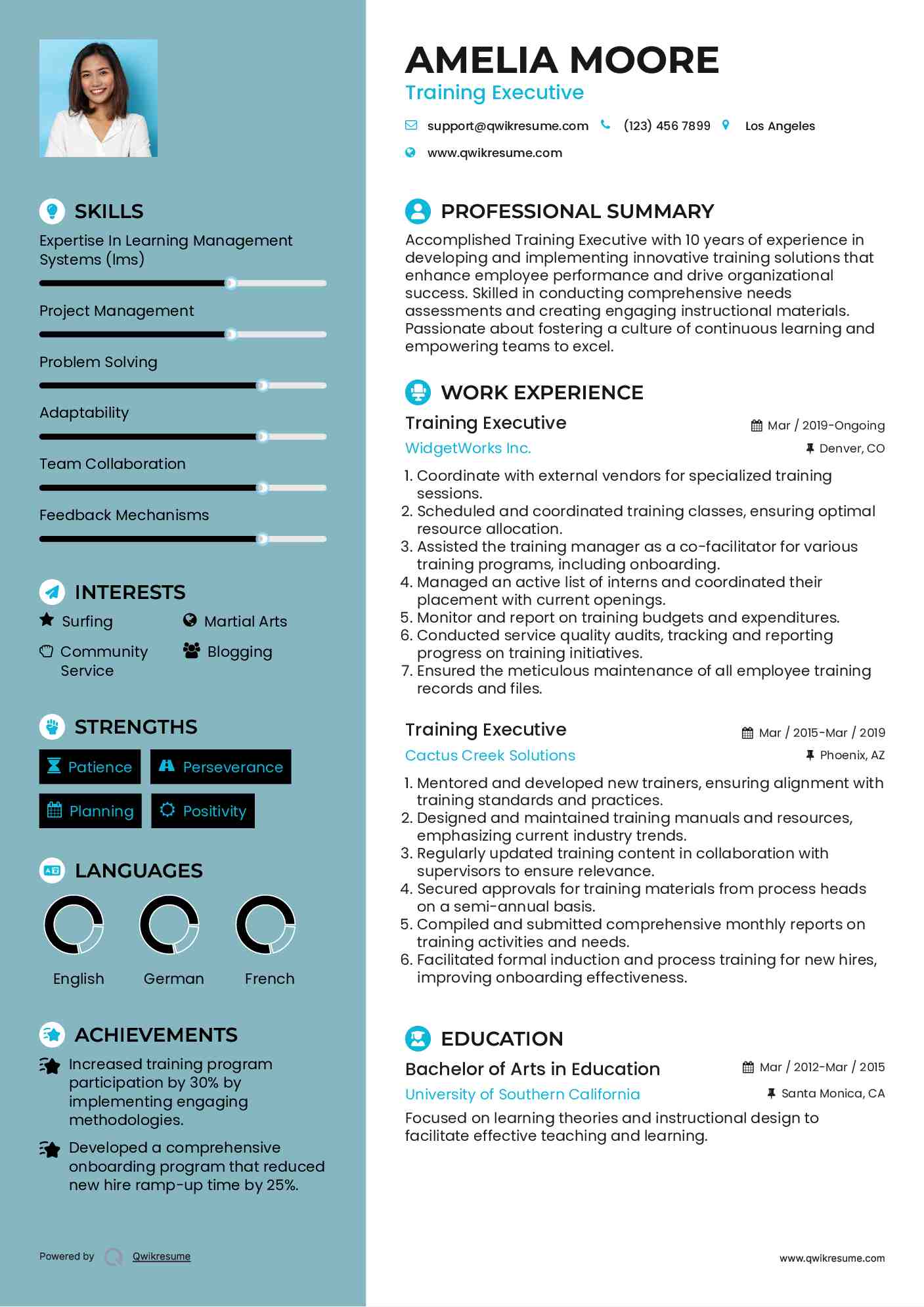 Training Executive Resume Example