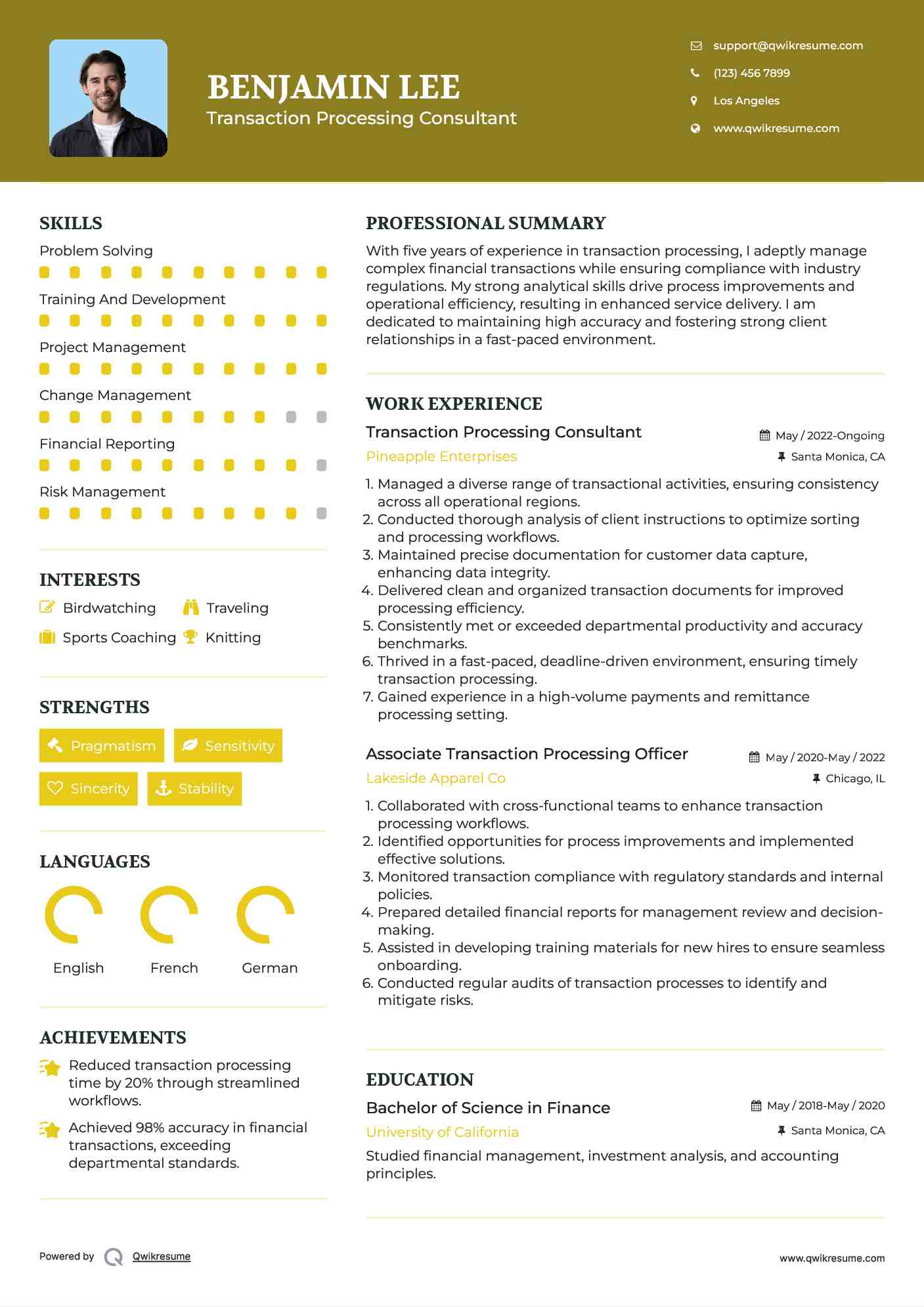 Transaction Processing Consultant Resume Template