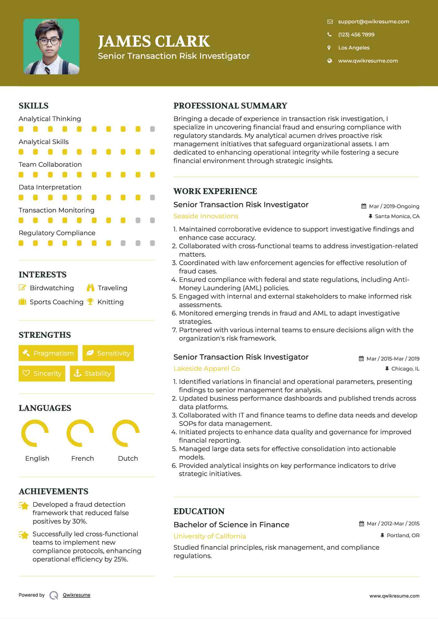 Senior Transaction Risk Investigator Resume Model