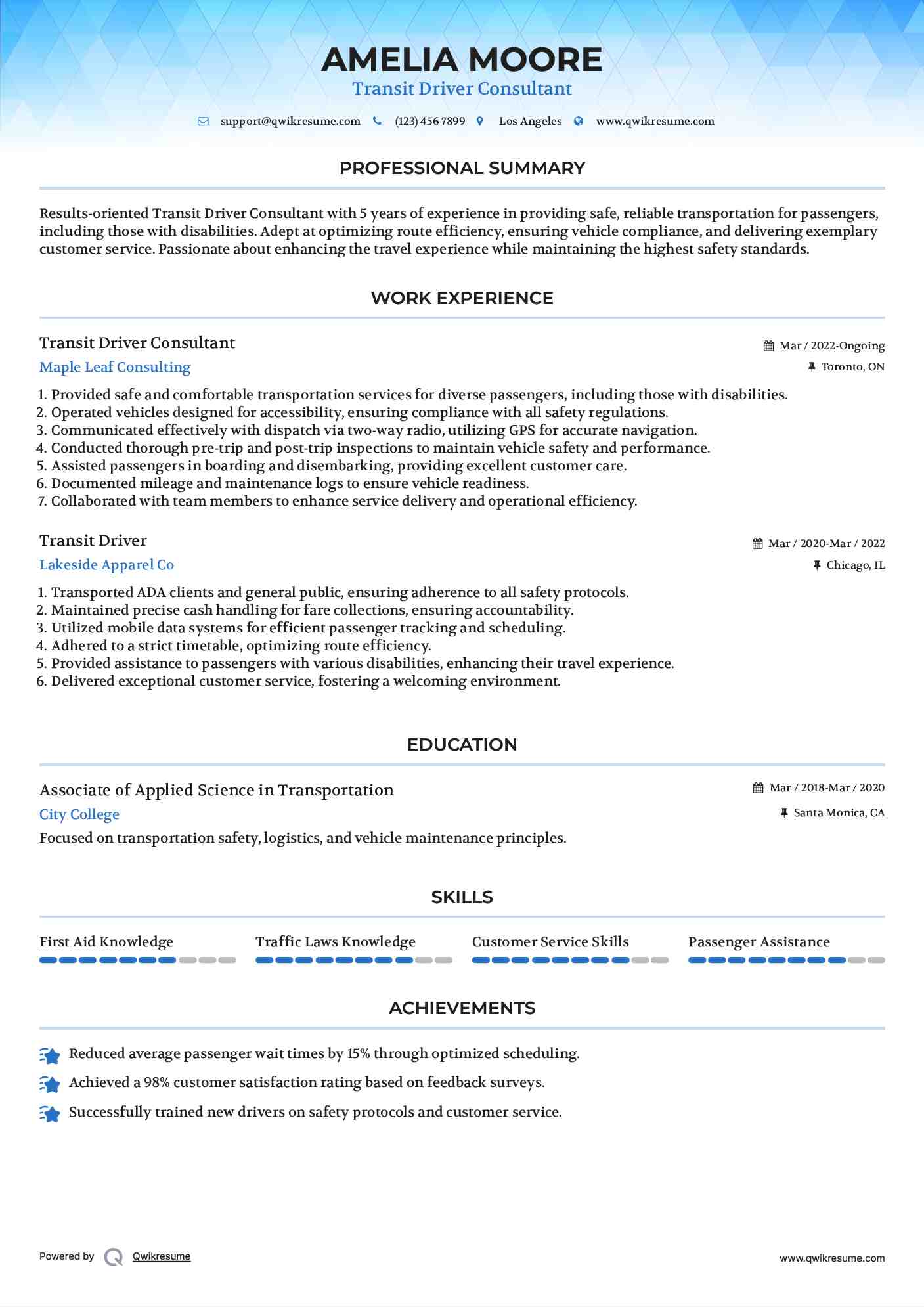 Transit Driver Consultant Resume Template