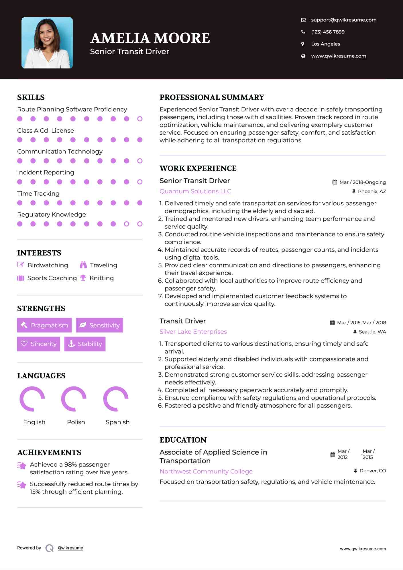 Senior Transit Driver Resume Template