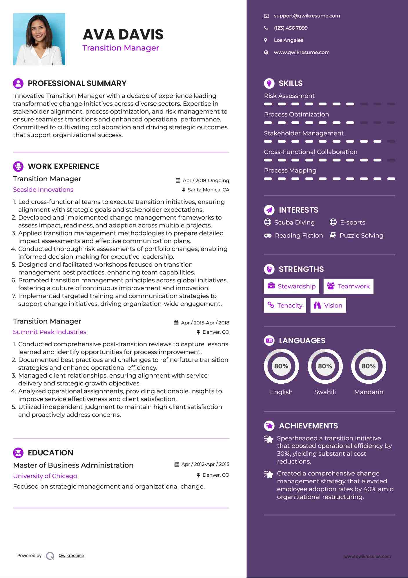 Transition Manager  Resume Example