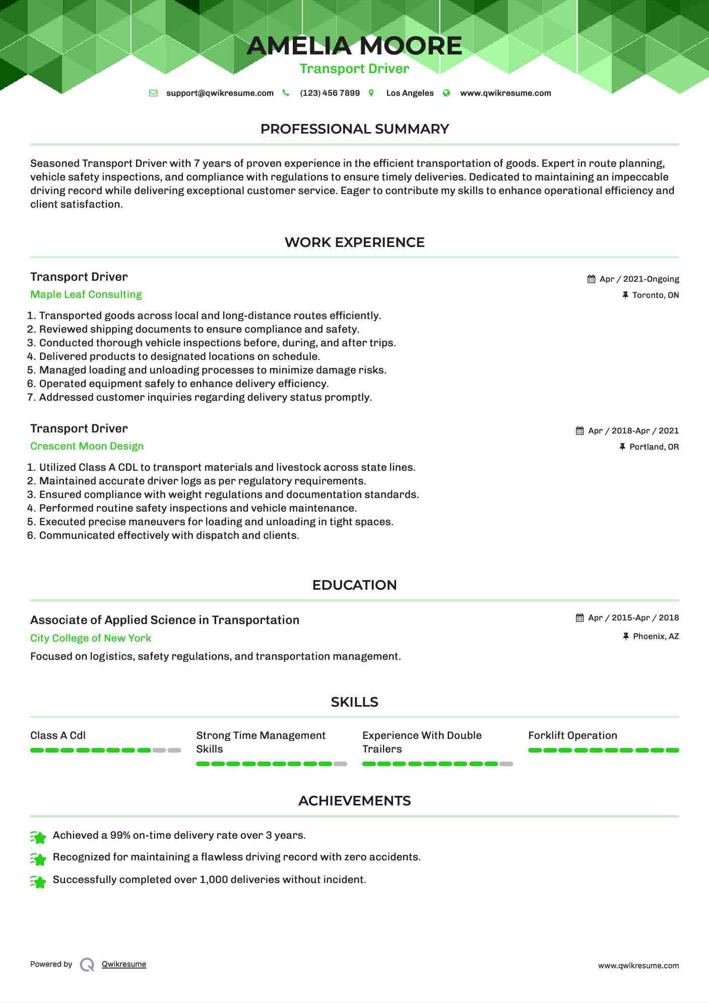 Transport Driver Resume Model
