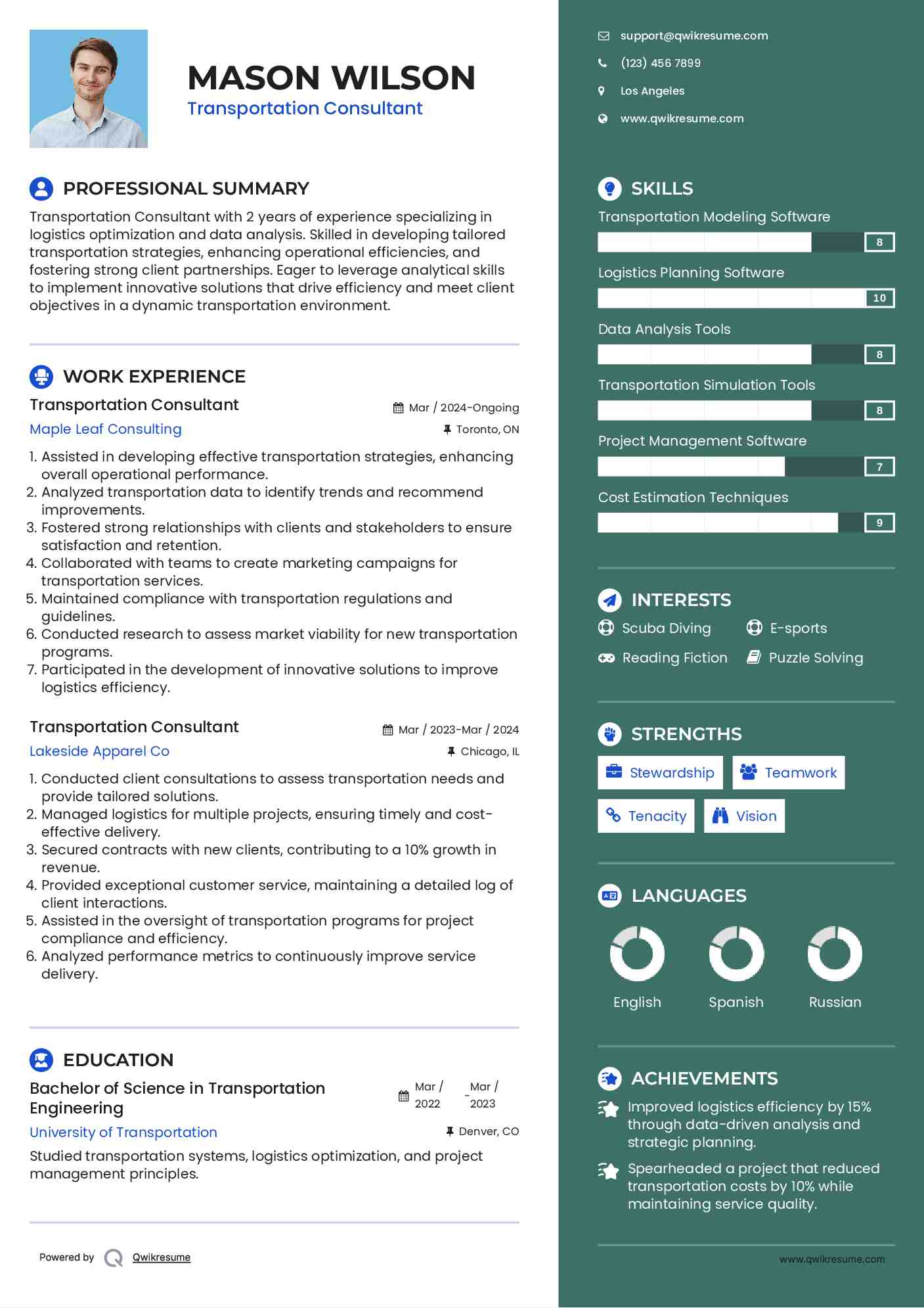 Transportation Consultant Resume Example
