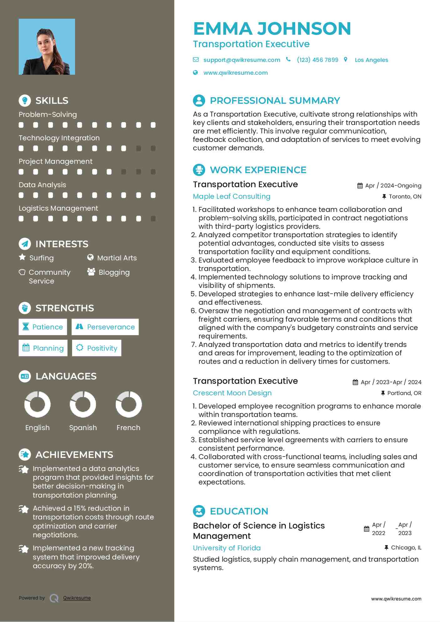 Transportation Executive Resume Example