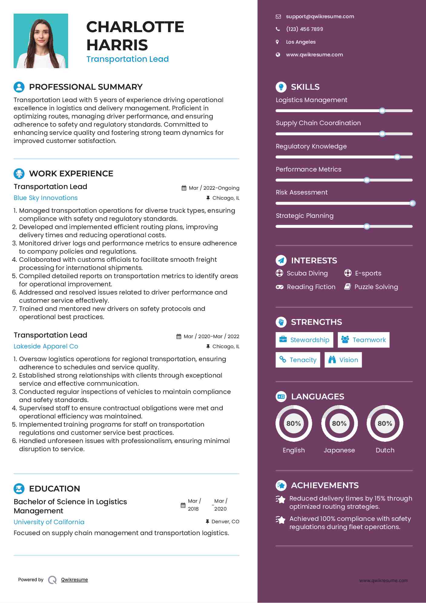 Transportation Lead Resume Template