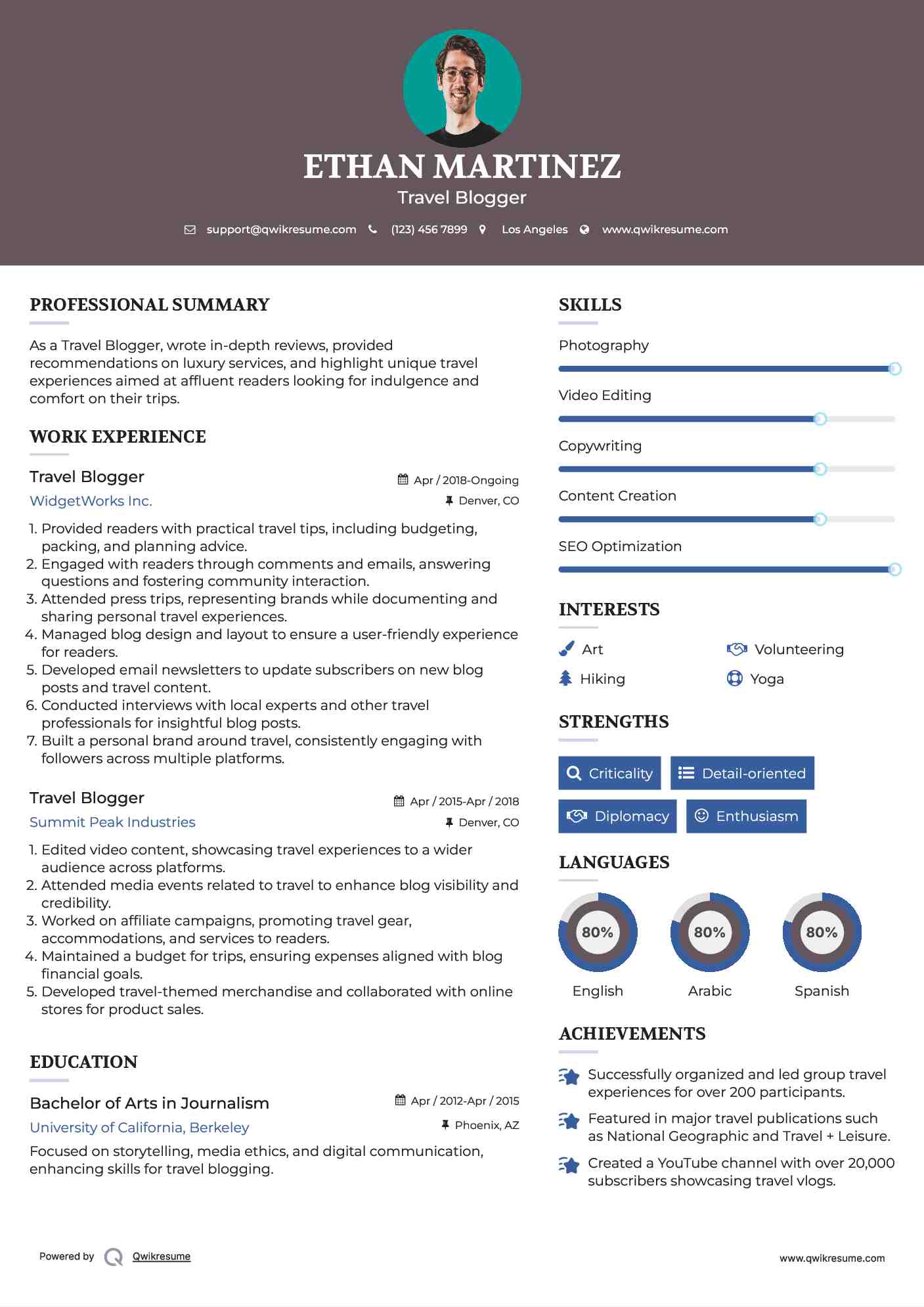 Travel Blogger Resume Format
