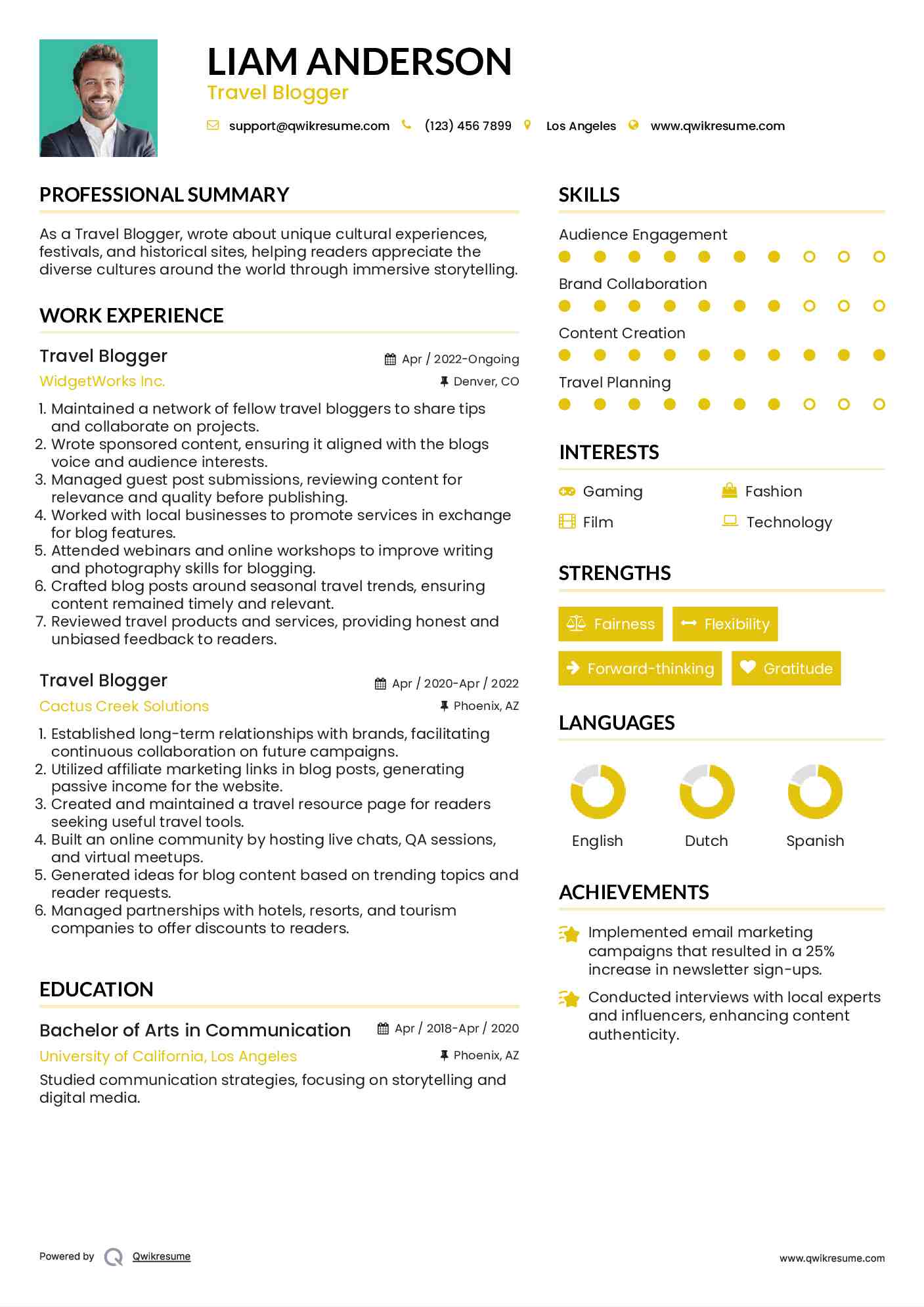 Travel Blogger Resume Format