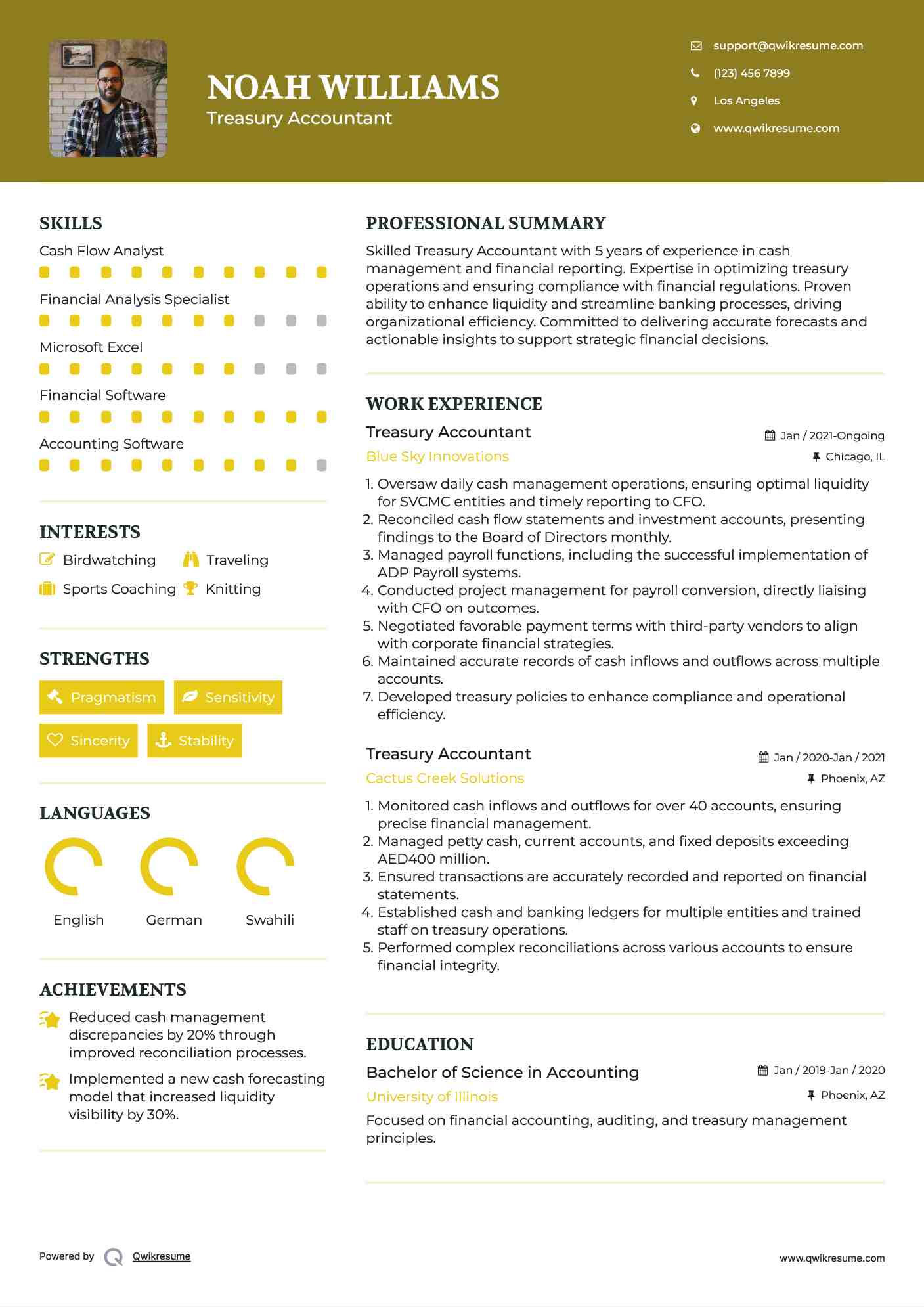 Treasury Accountant Resume Format