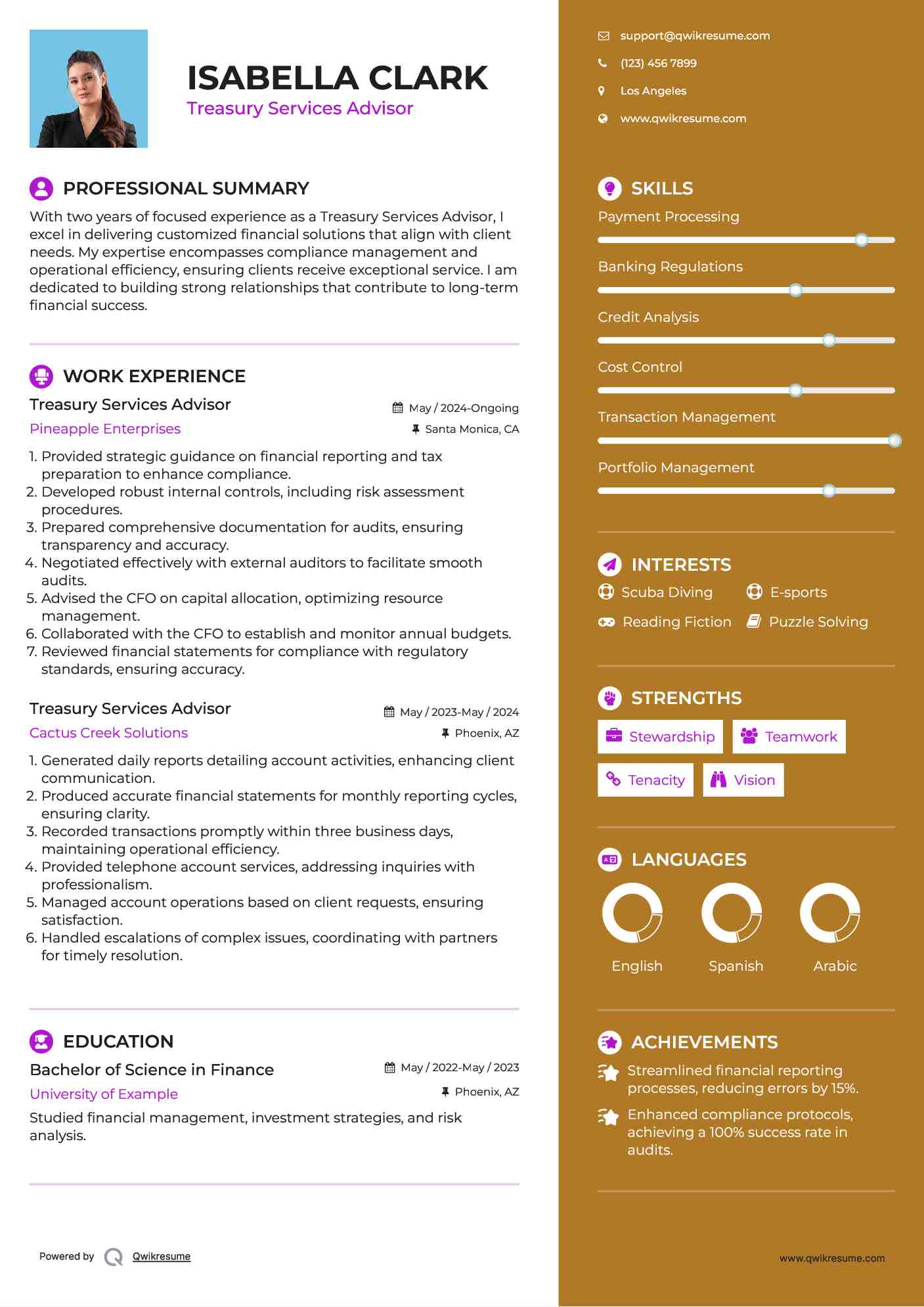 Treasury Services Advisor Resume Example