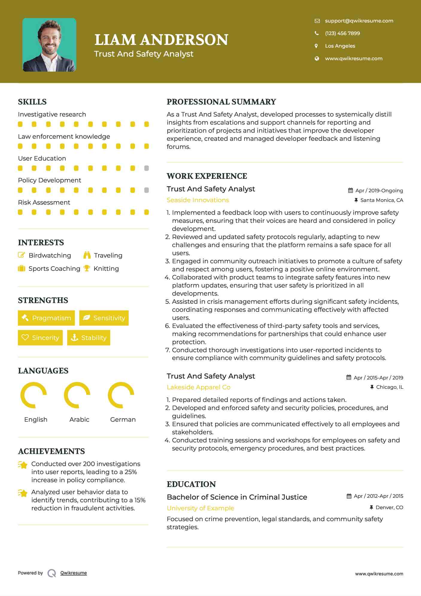 Trust And Safety Analyst Resume Sample