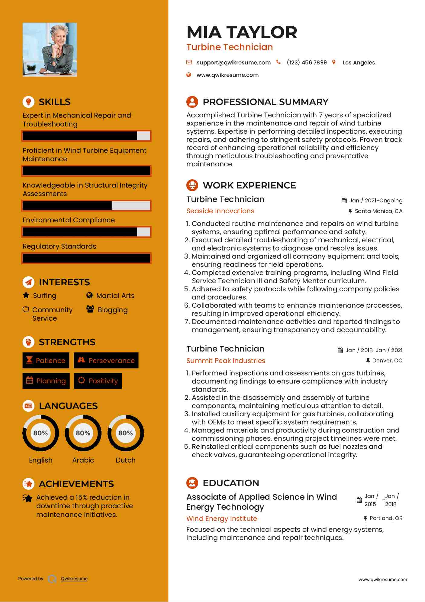 Turbine Technician Resume Template
