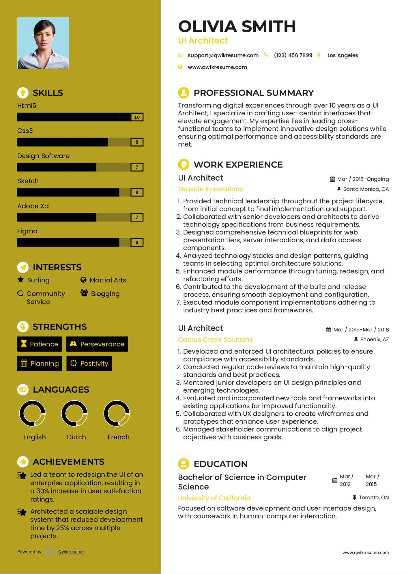 UI Architect Resume Format