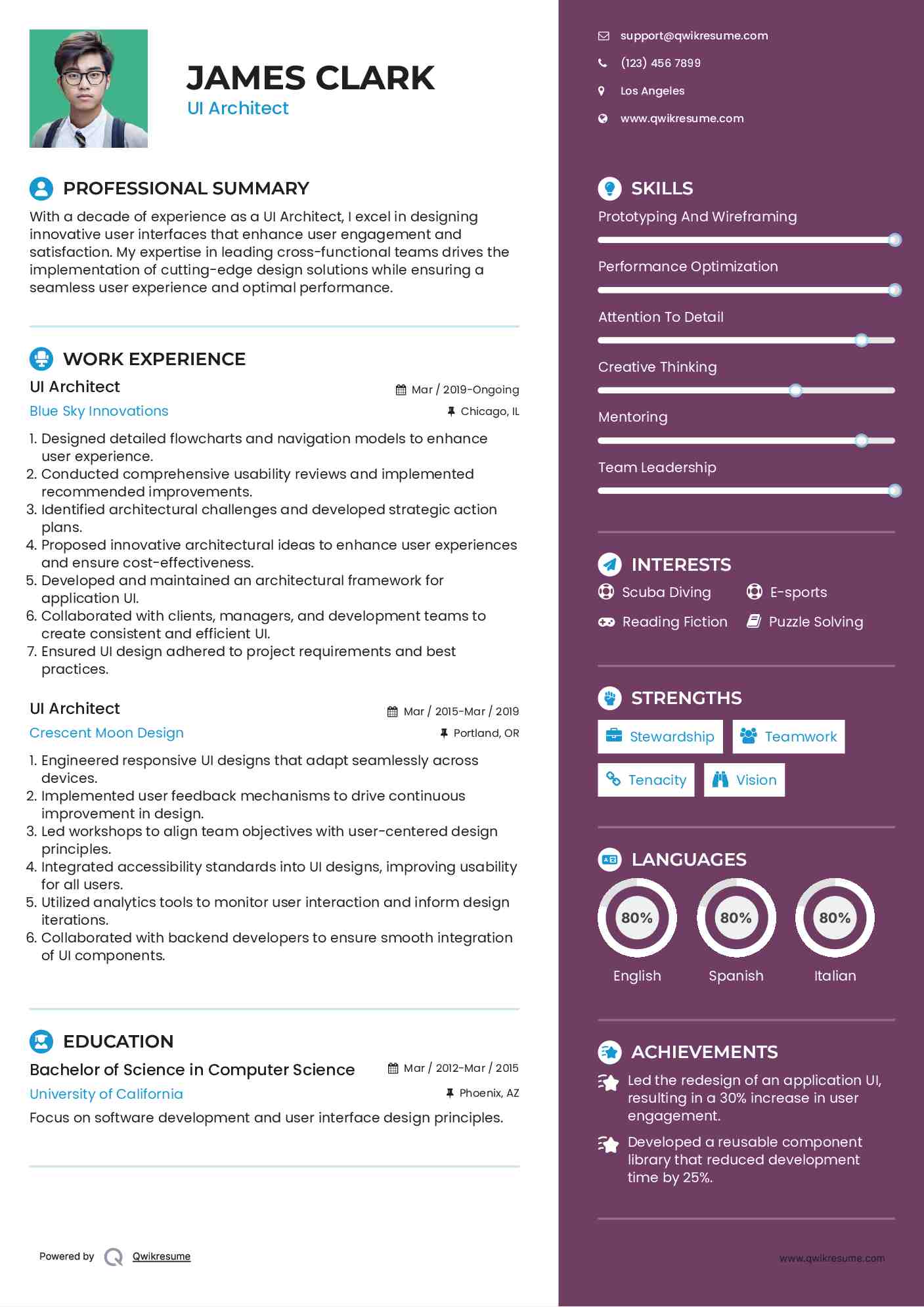 UI Architect Resume Sample