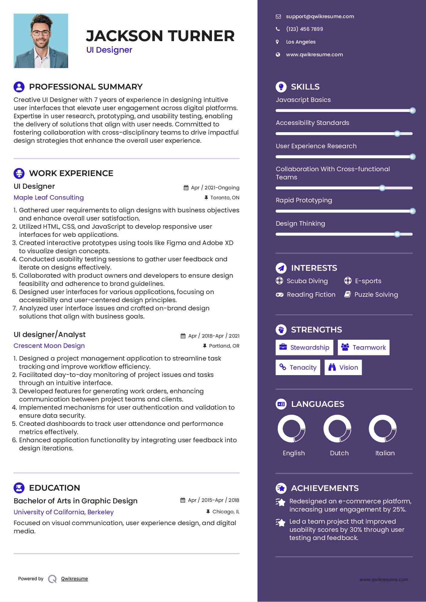 UI Designer Resume Model