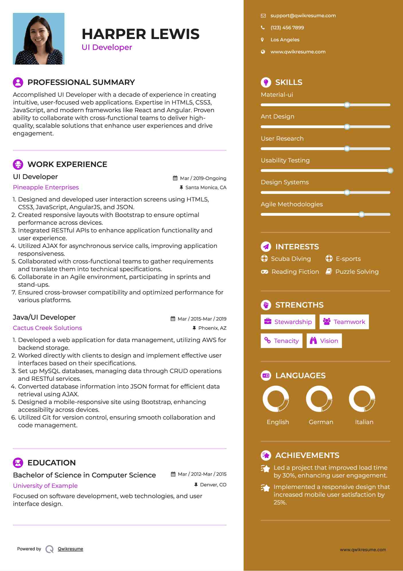 UI Developer Resume Sample