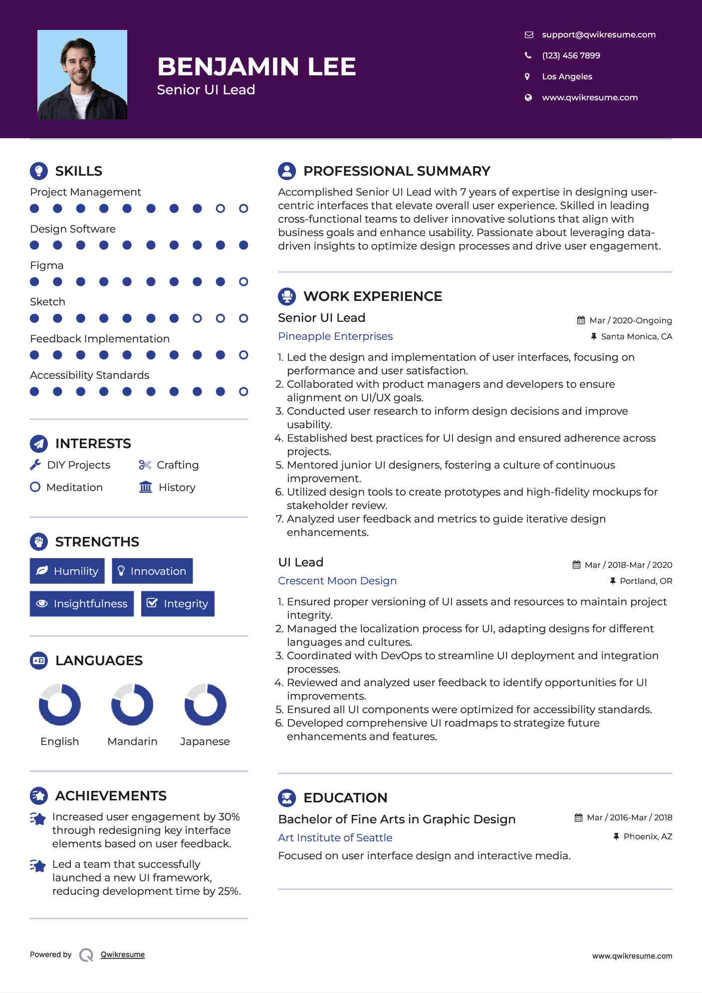 Senior UI Lead Resume Template