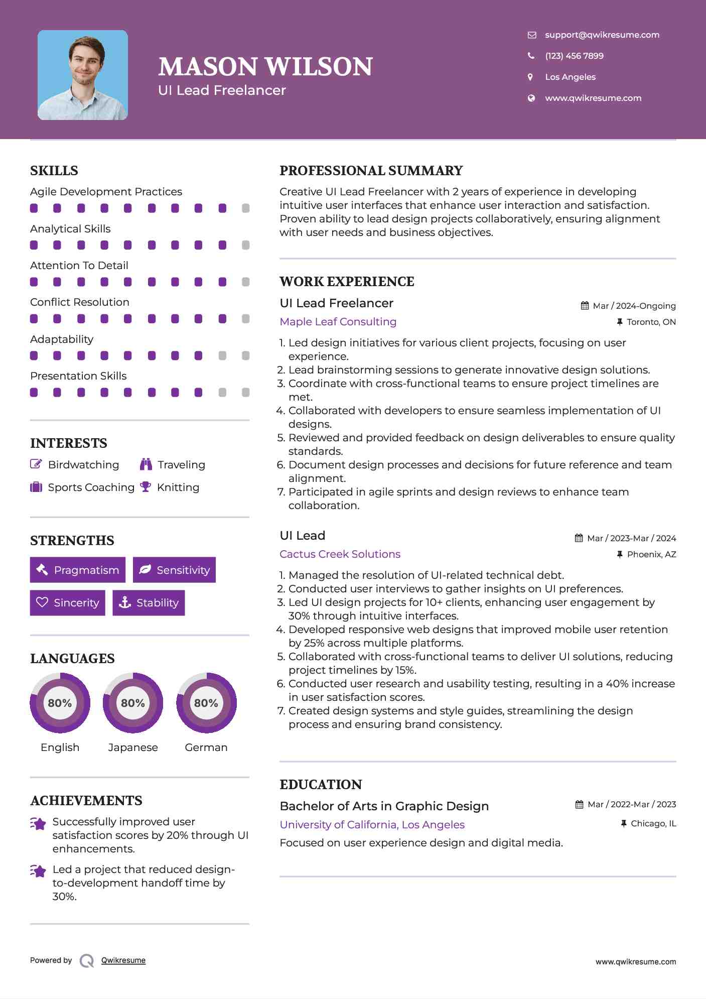 UI Lead Freelancer Resume Example