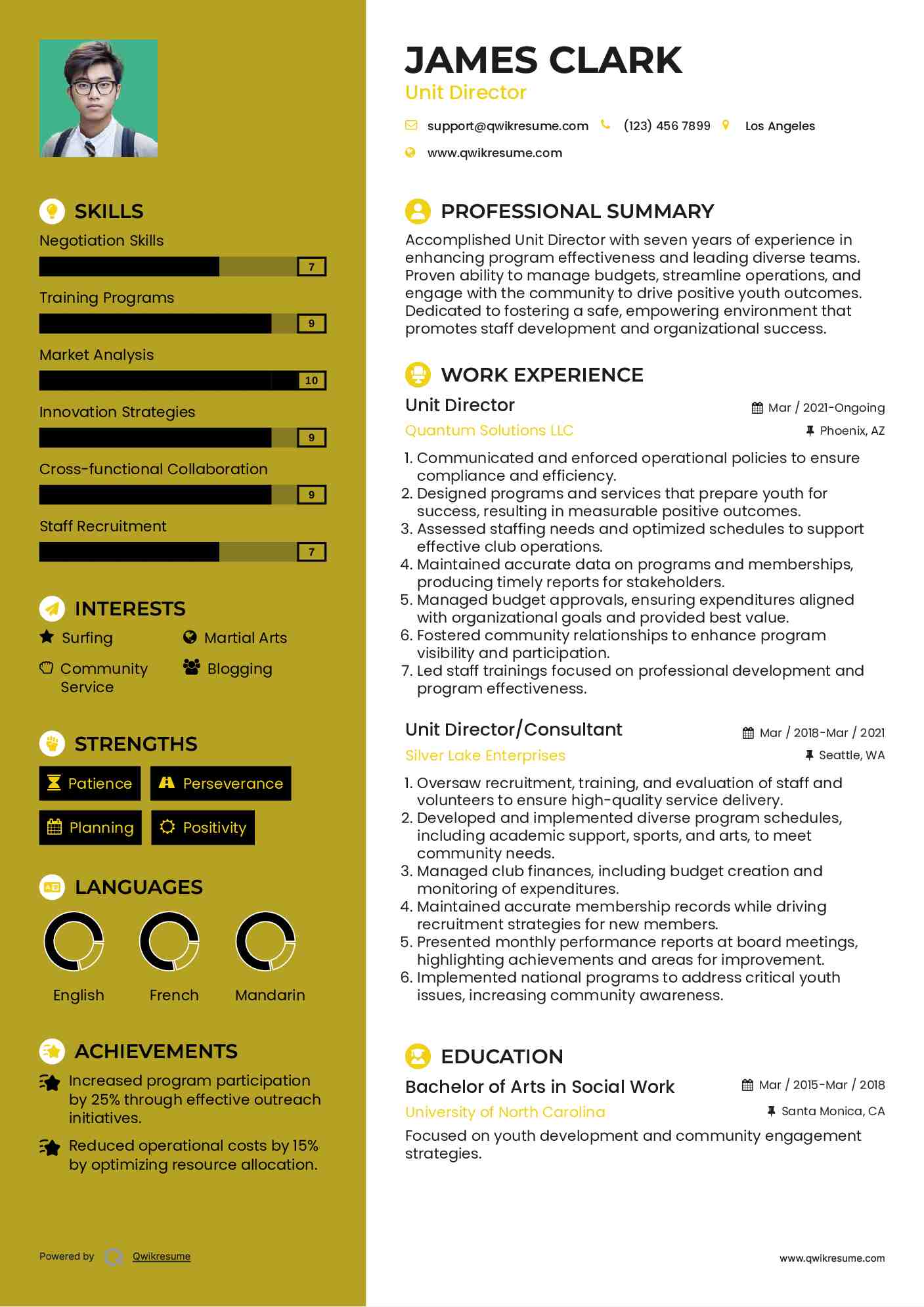 Unit Director Resume Model