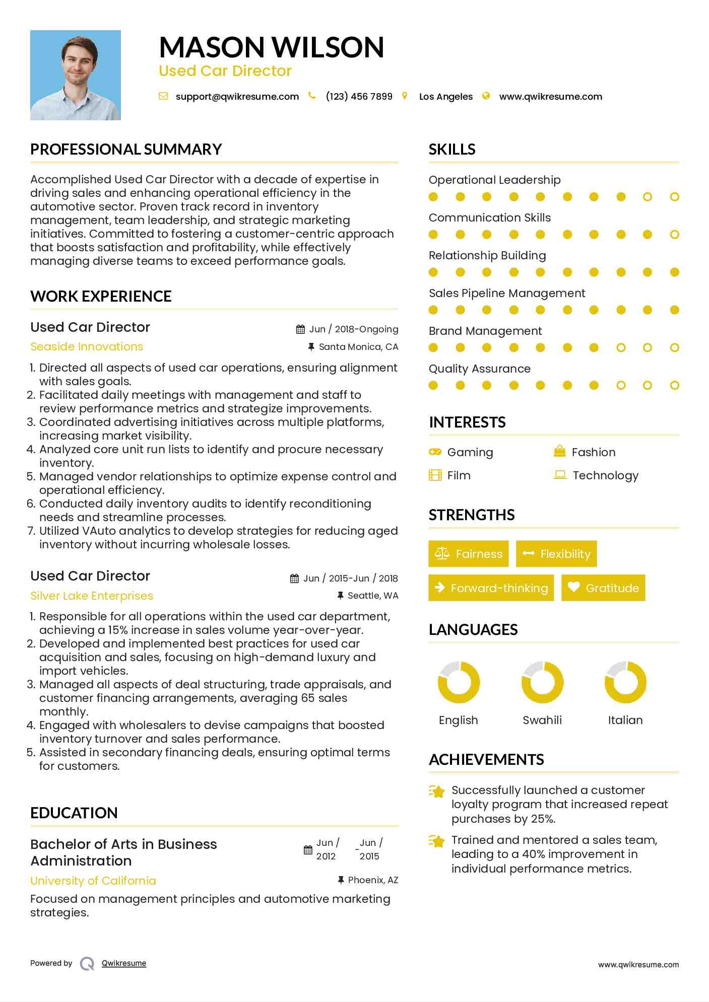 Used Car Director Resume Example