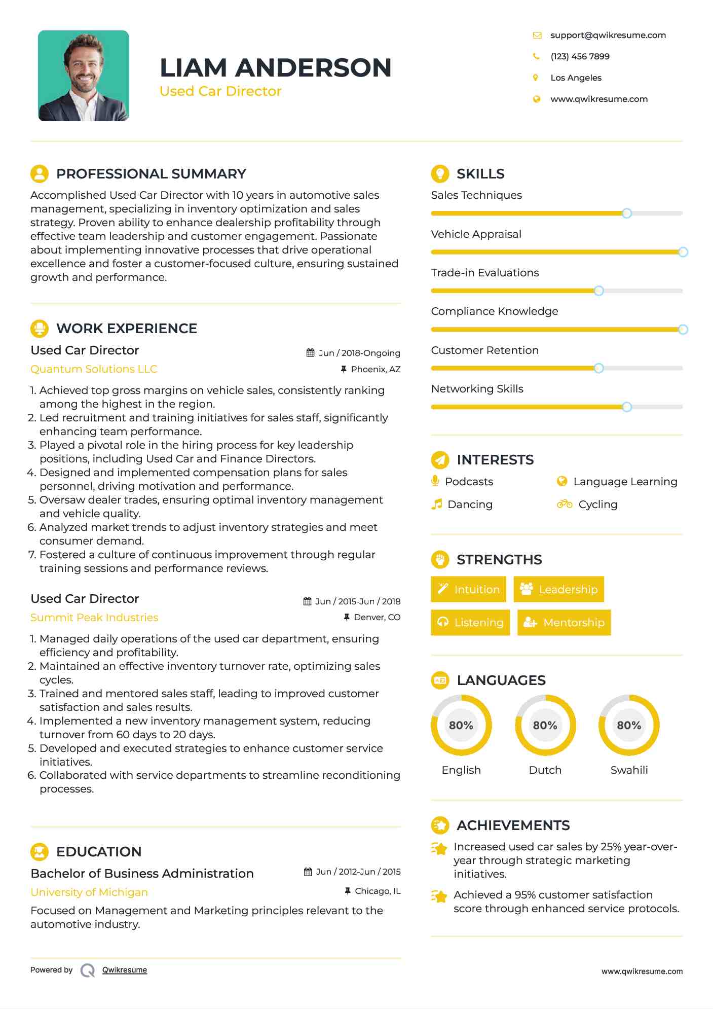 Used Car Director Resume Model