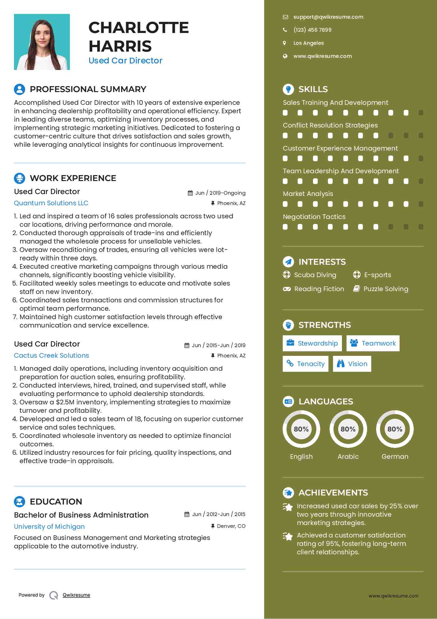 Used Car Director Resume Sample