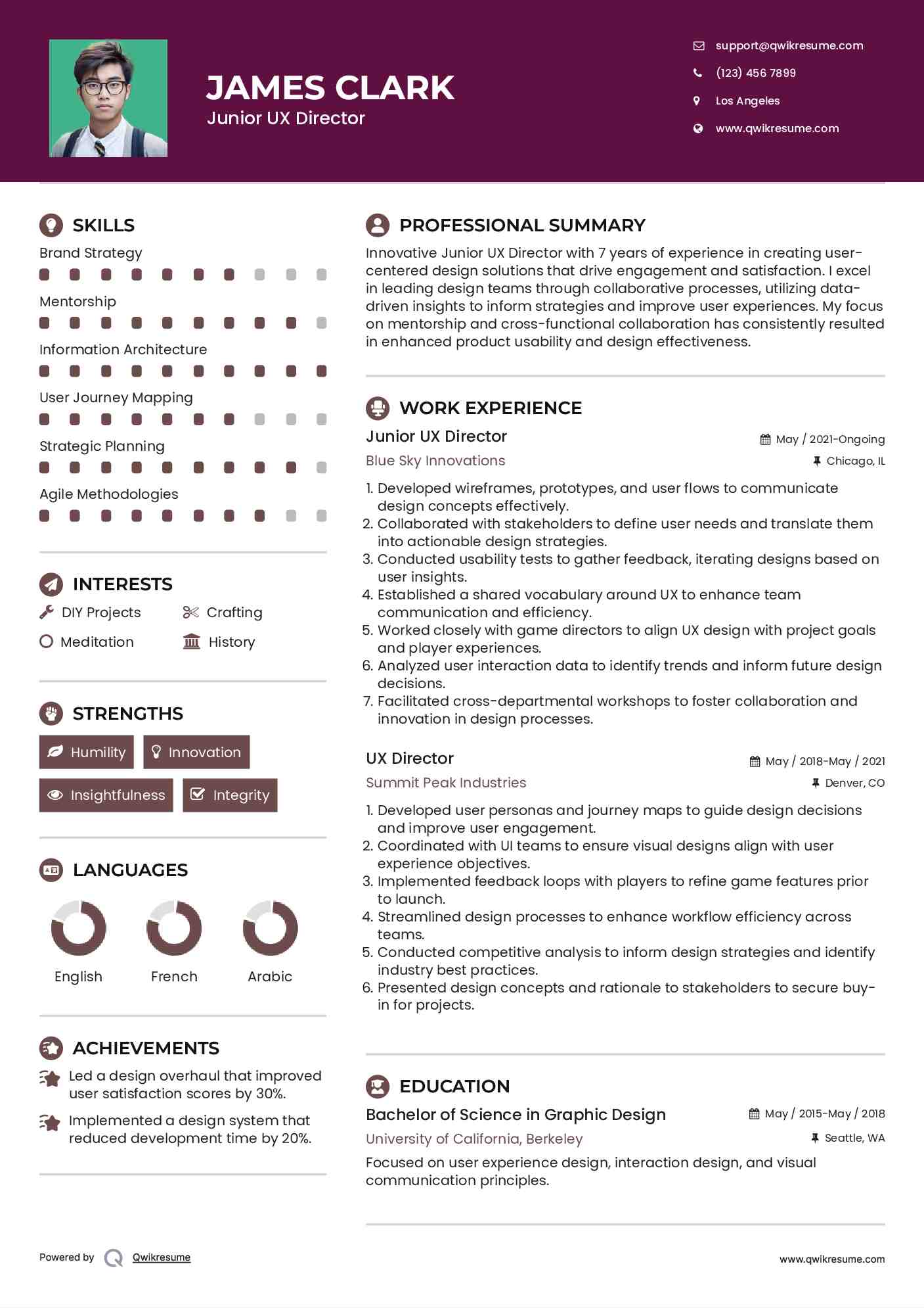 Junior UX Director Resume Template