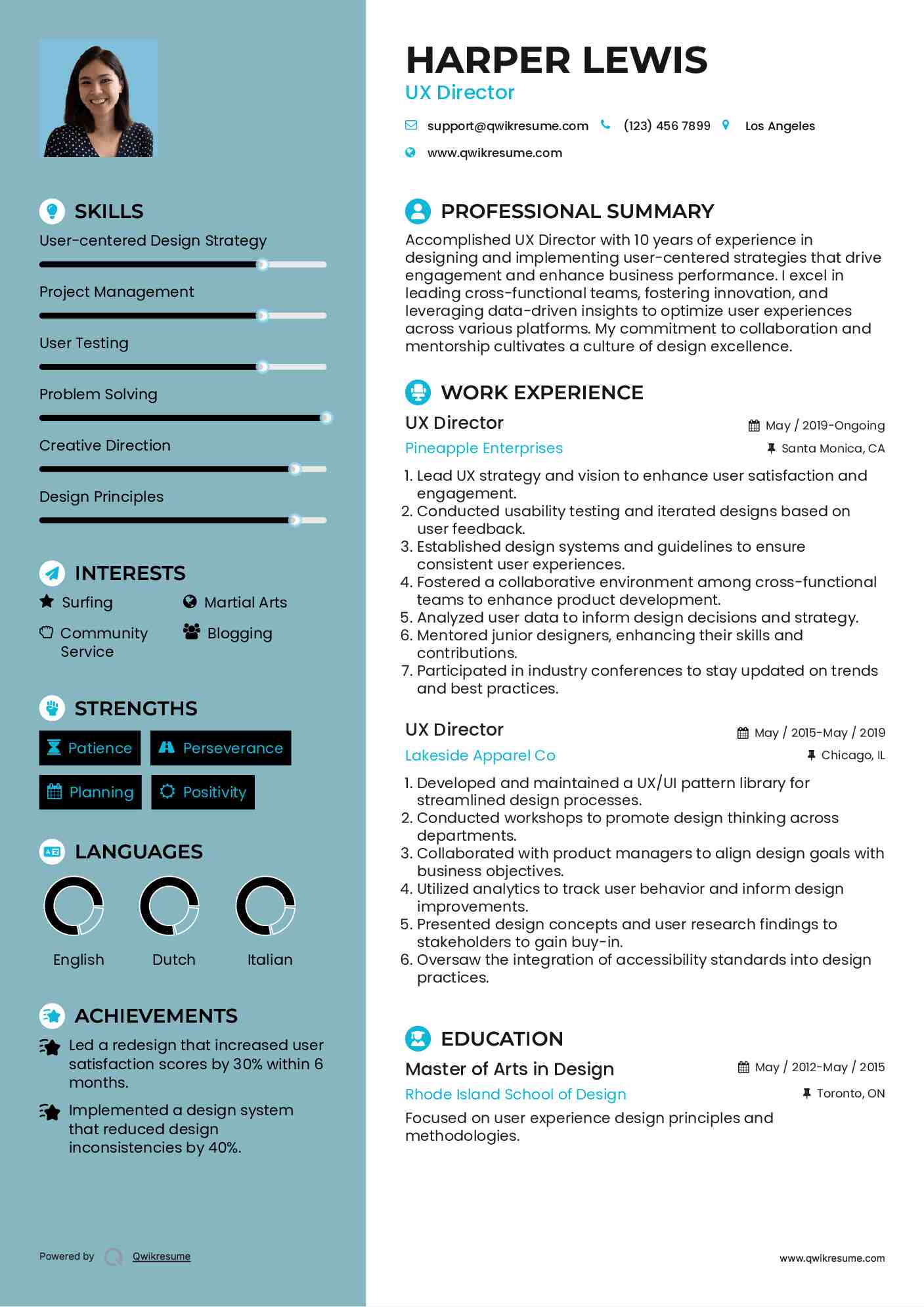 UX Director Resume Model