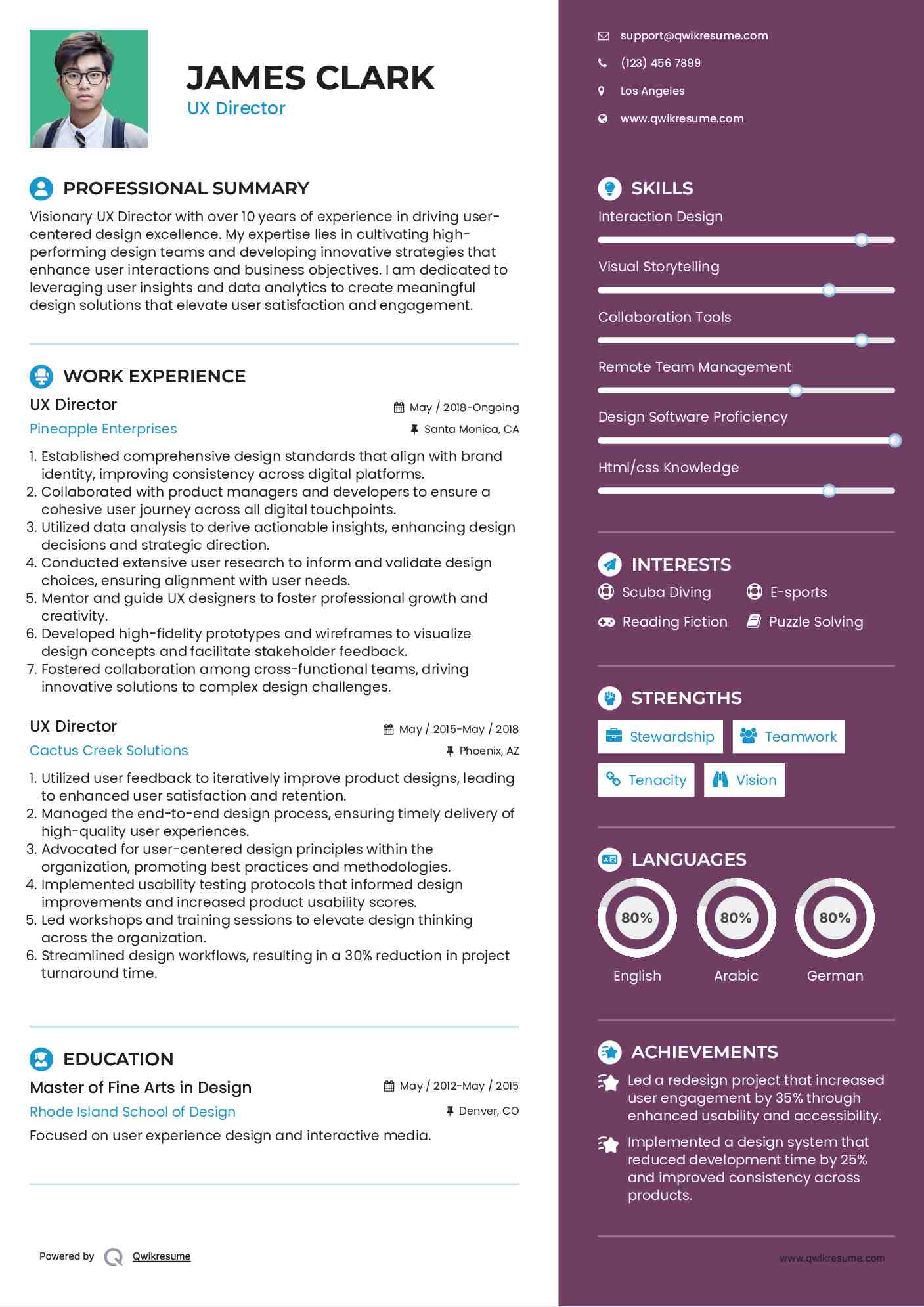 UX Director Resume Example