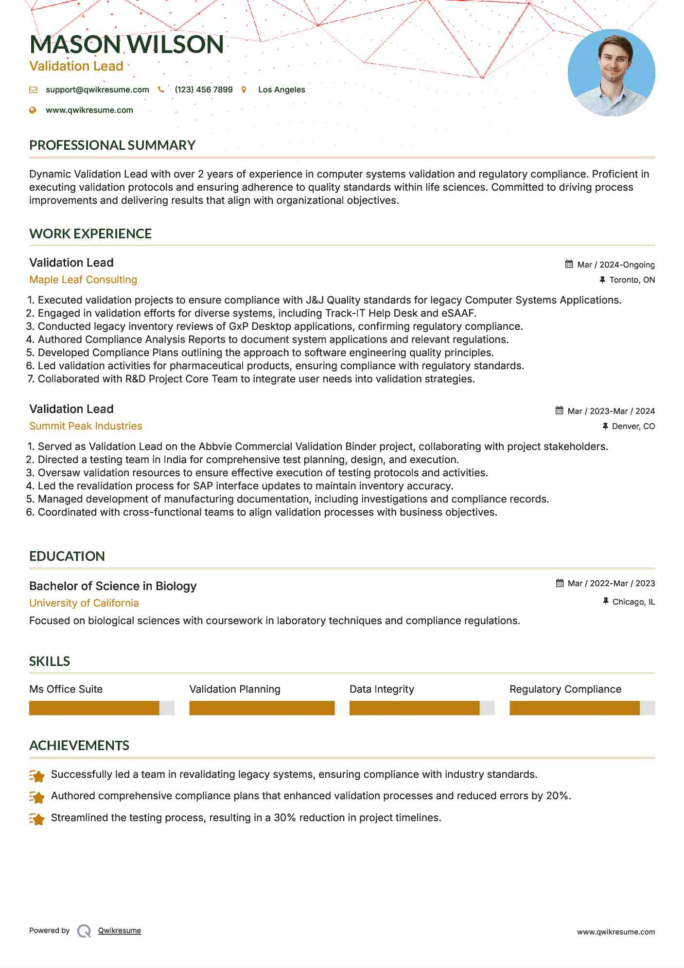 Validation Lead Resume Format