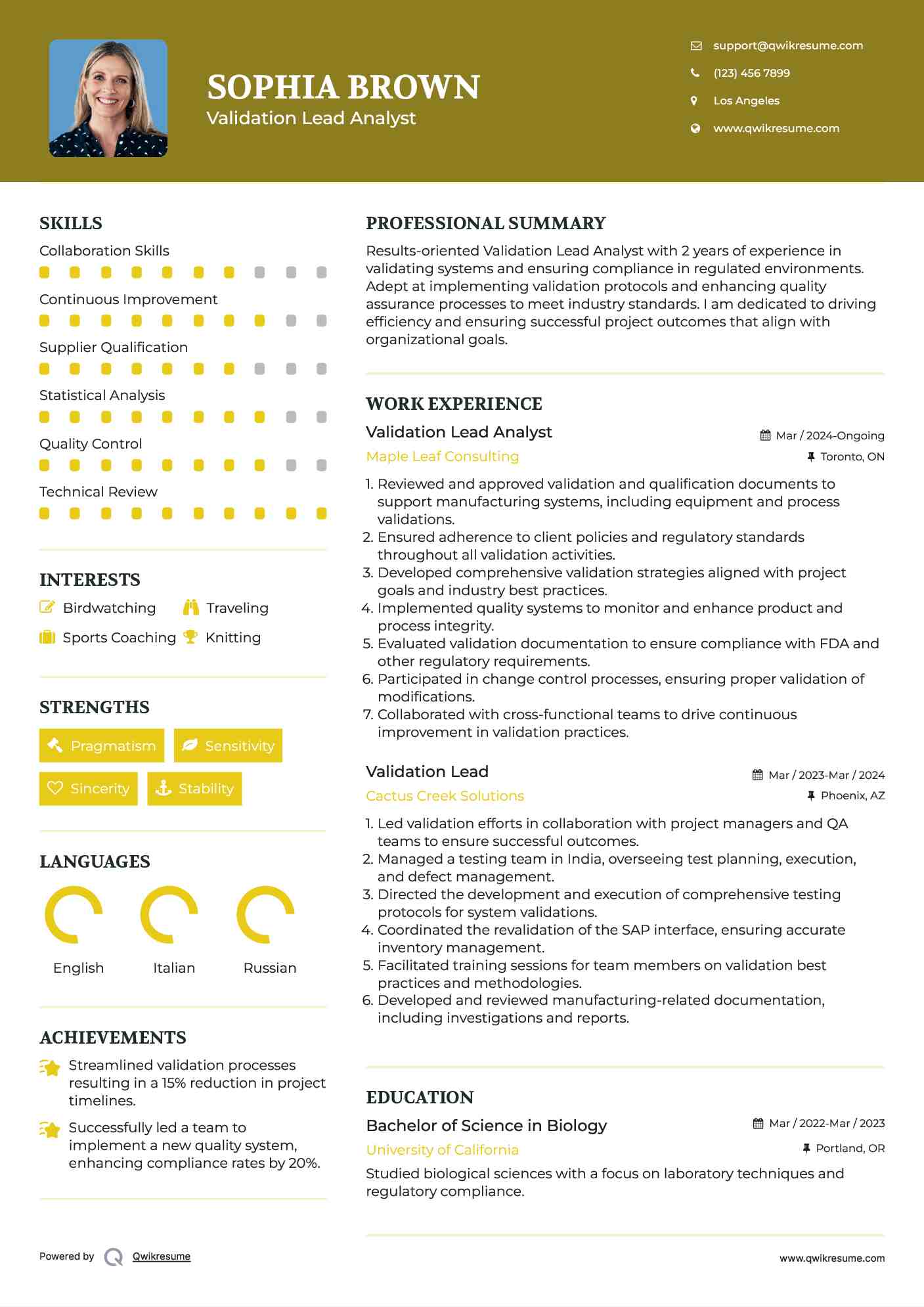 Validation Lead Analyst Resume Example