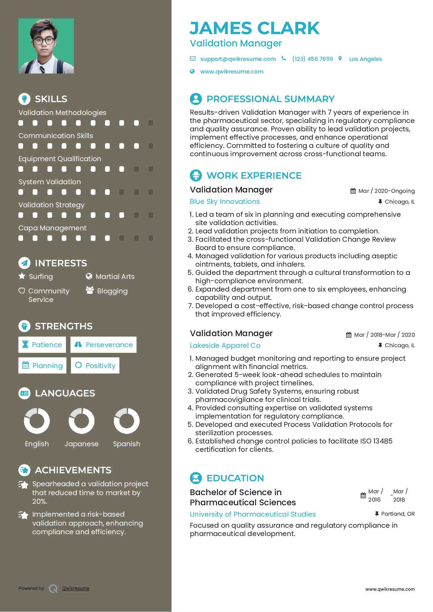 Validation Manager Resume Sample